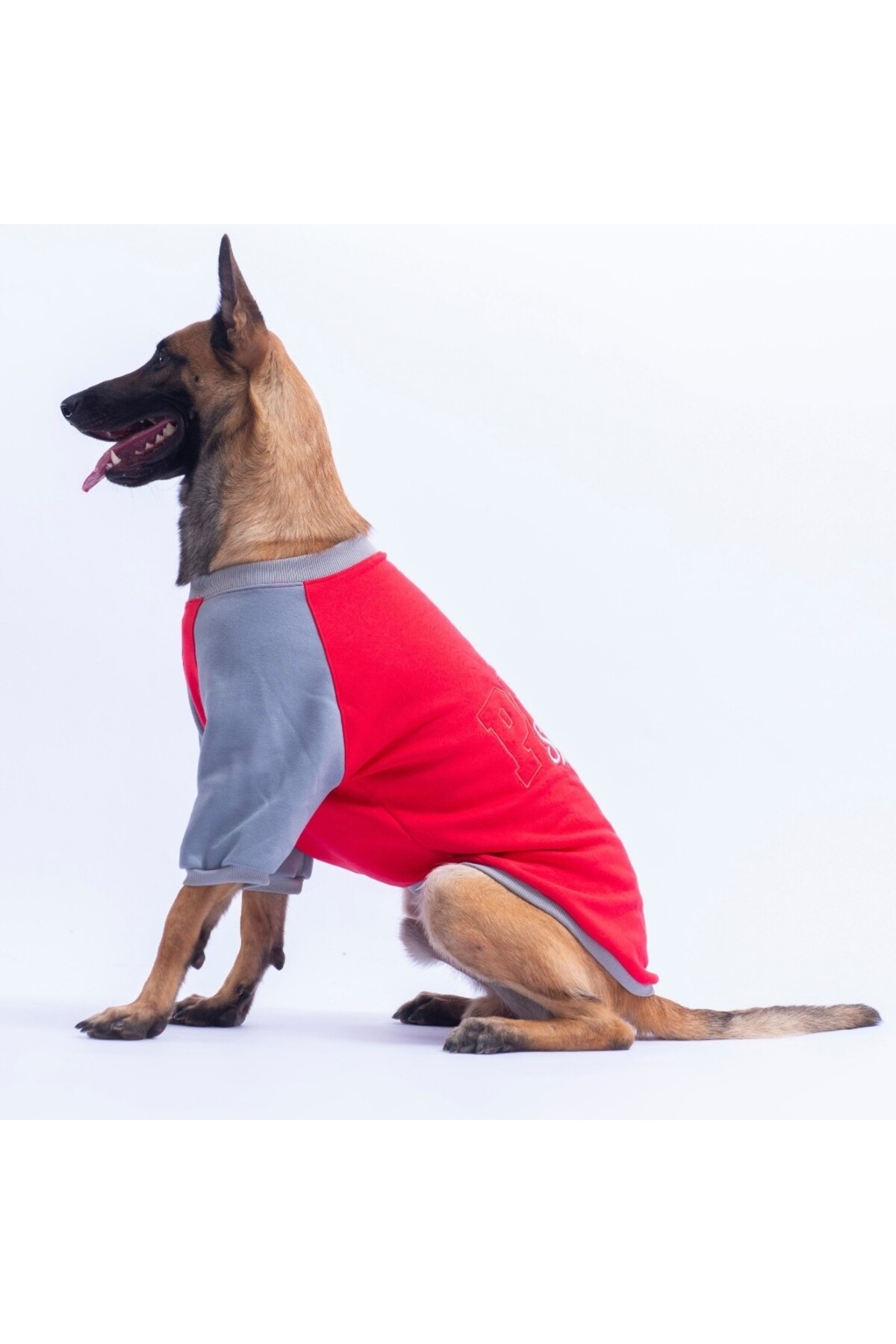 سویشرت سگ پاواستار Pawstar مدل Boston، قرمز، مناسب نژادهای متوسط تا بزرگ