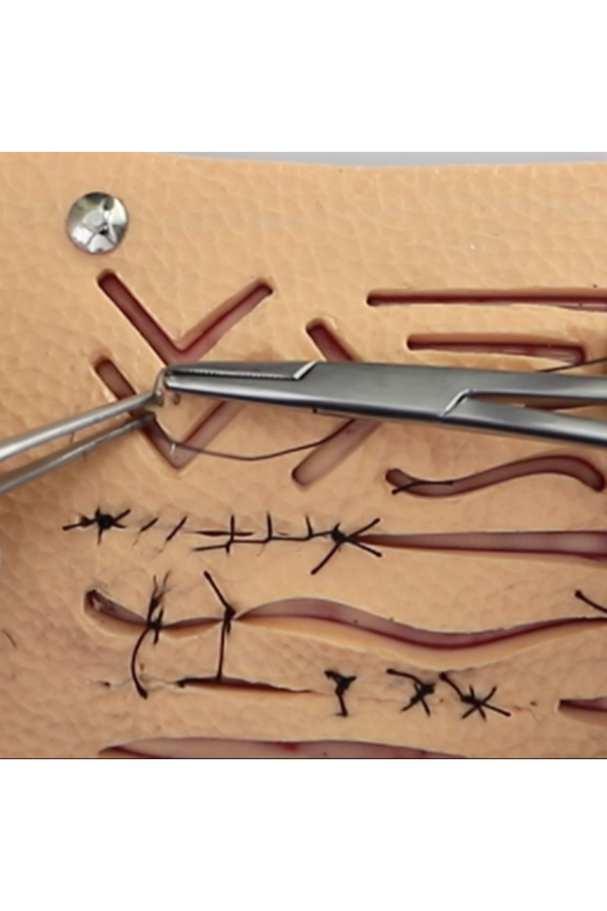 مدل خودرو پد آموزشی بخیه برش اورجینال Praticmed