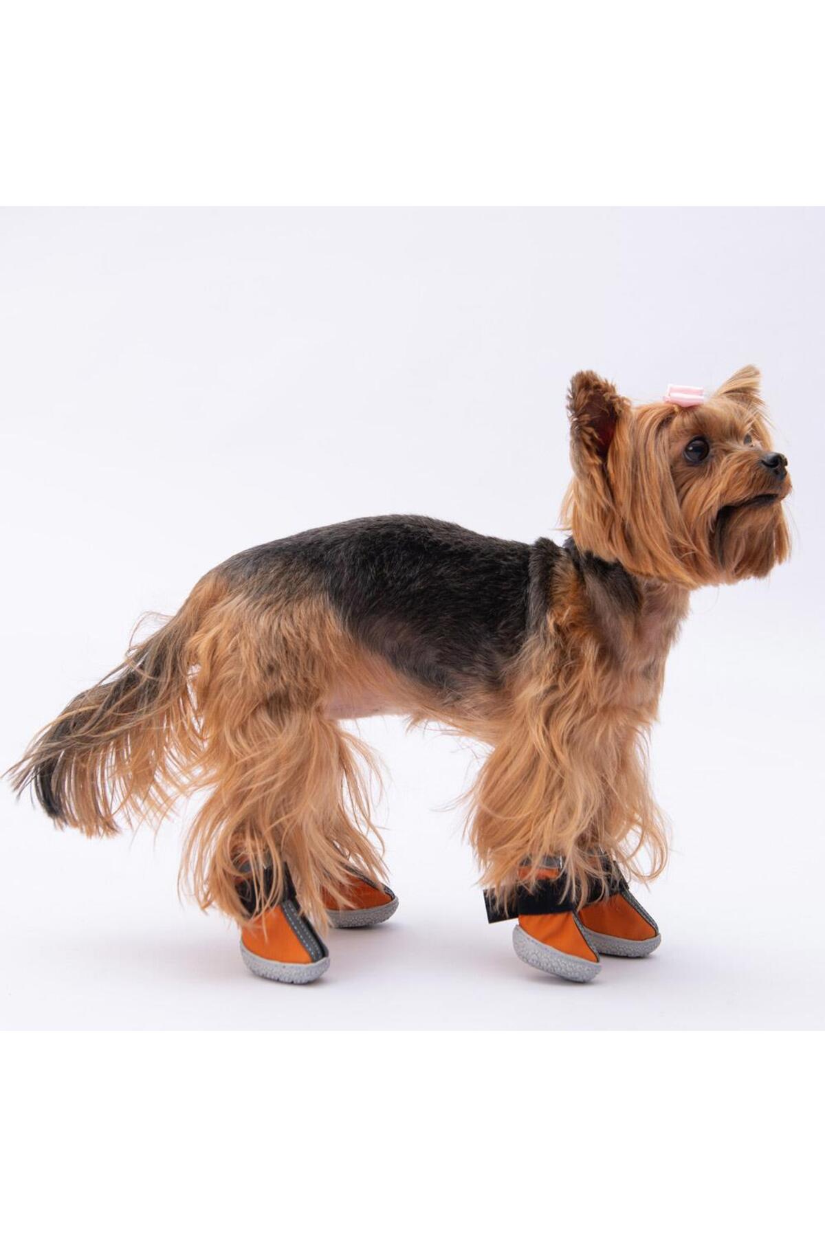 کفش سگ پاوستار Pawstar مدل PDS-02، نارنجی