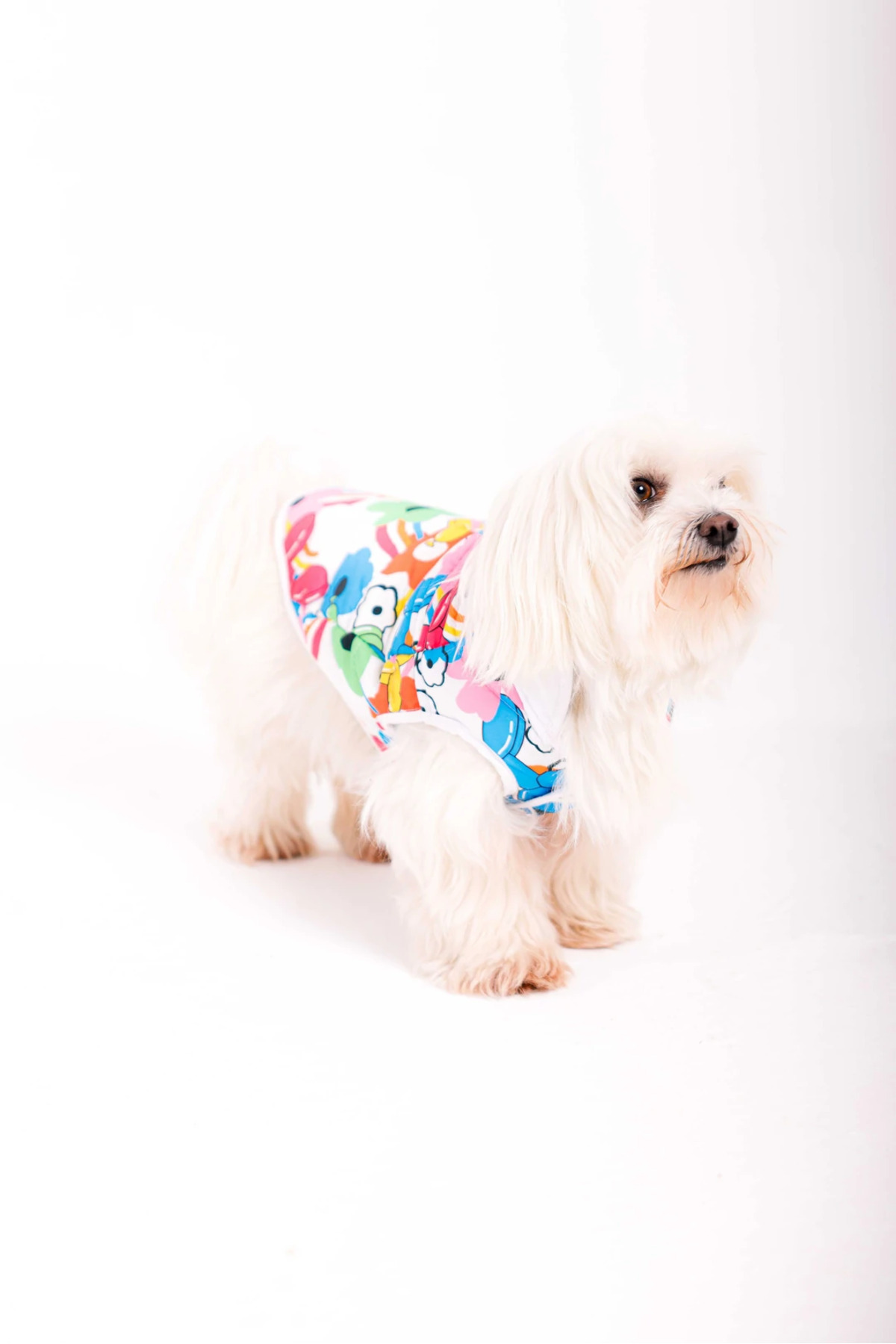 کاپشن پافر سگ هایپت فشن Hypet Fashion مدل Bubble Dogs Puffer، چندرنگ