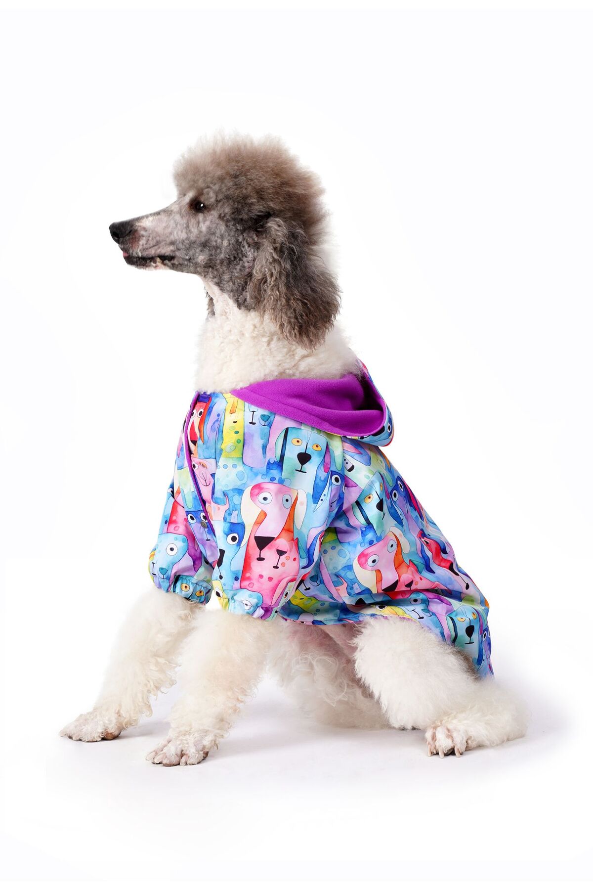 بارانی سگ نژاد بزرگ فورامور fouramour Watercolored Dogs مدل LBURWD26020 با آستر پلار و ممبران ضدآب بنفش