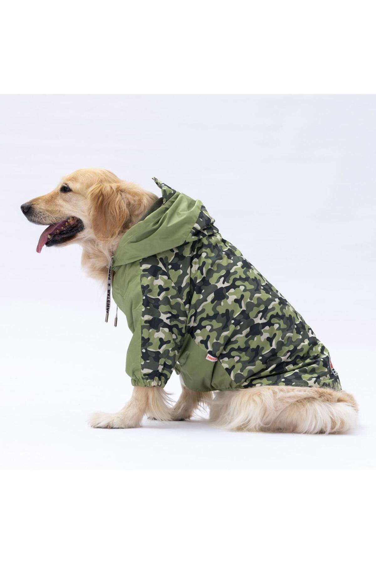 بارانی سرهمی سبز دیژون سگ نژاد بزرگ پاواستار Pawstar
