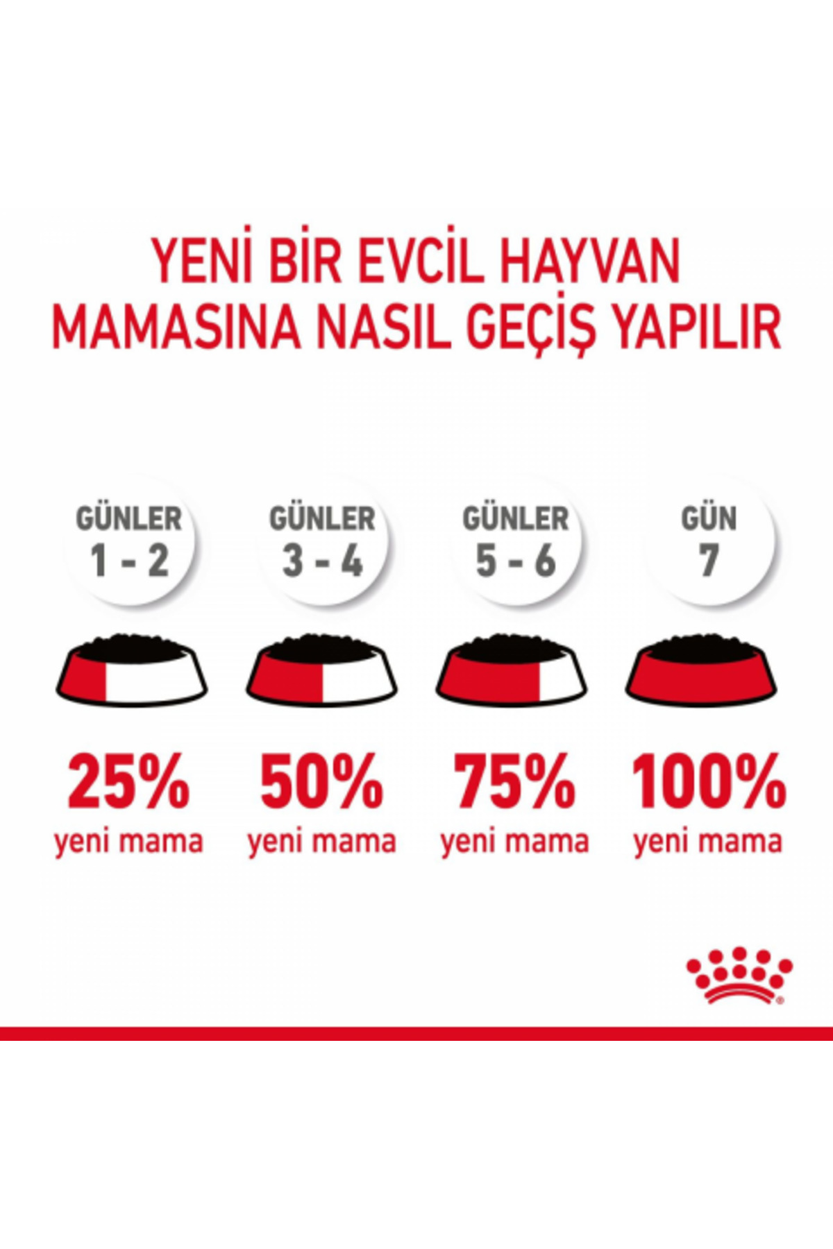 غذای مرطوب گربه بالغ رویال کنین Royal Canin Intense Beauty Gravy Pouch، ۸۵ گرم