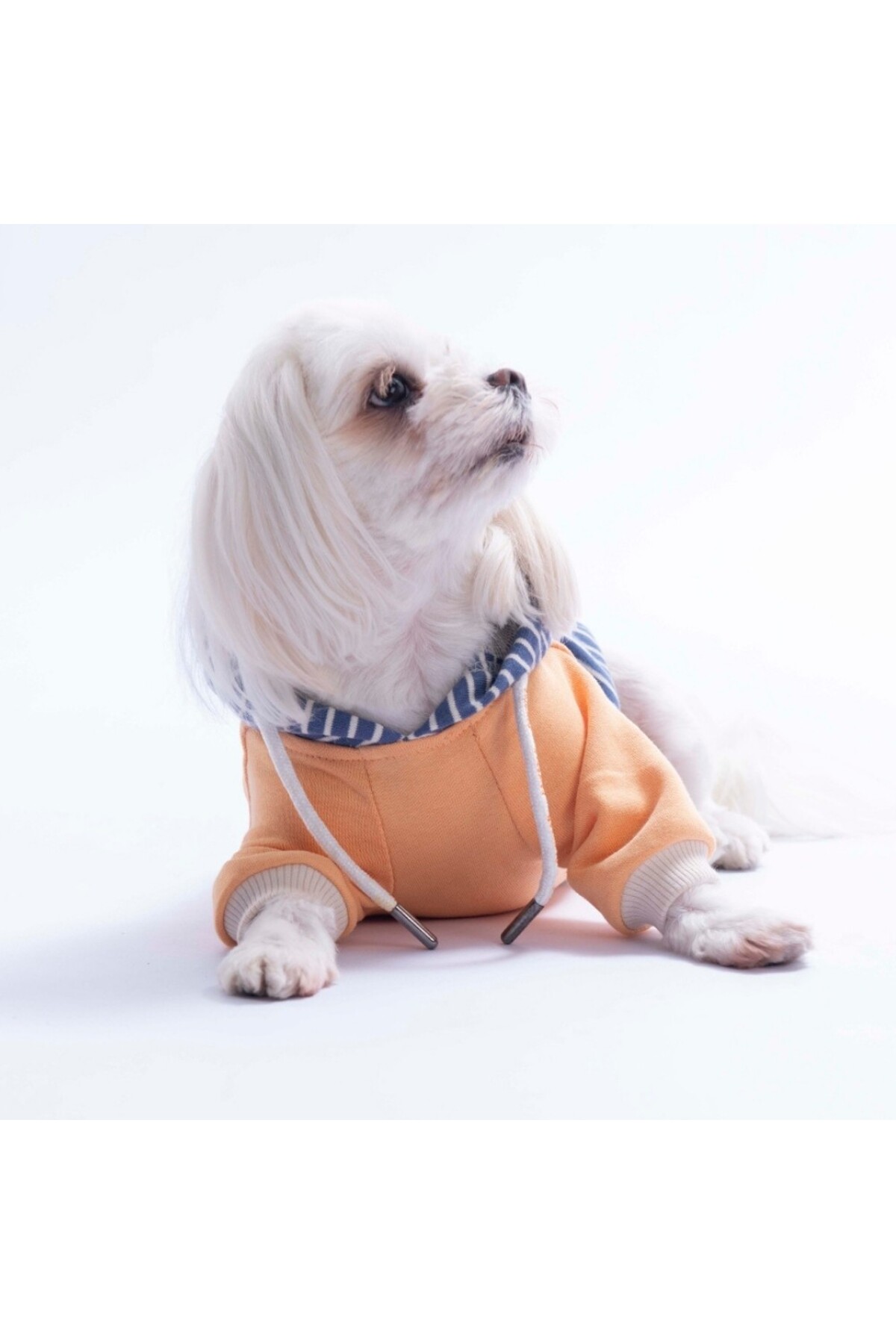 هودی سگ راه‌راه پاواستار Pawstar مدل PS26-1149 نارنجی