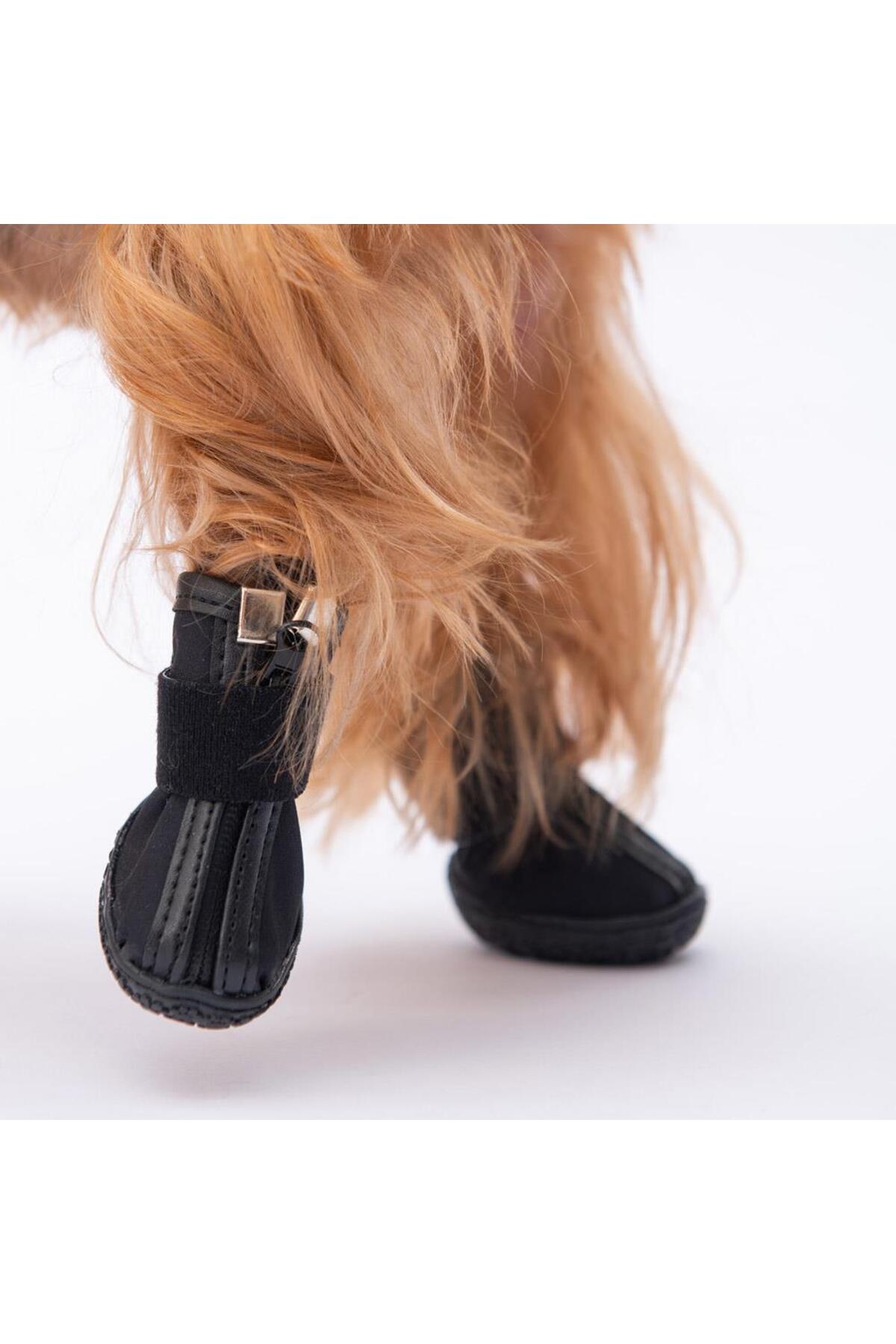 کفش سگ پاوستار Pawstar مشکی، مدل PDS-02