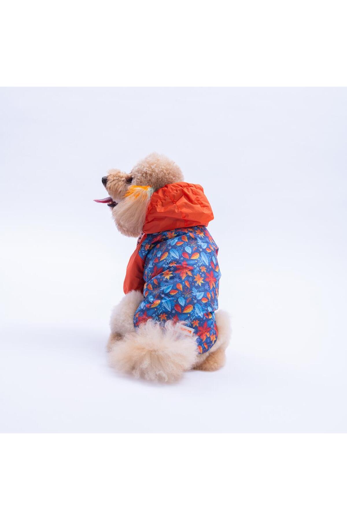 بارانی سگ پاواستار Pawstar مدل Amsterdam Fall با طرح برگ نارنجی