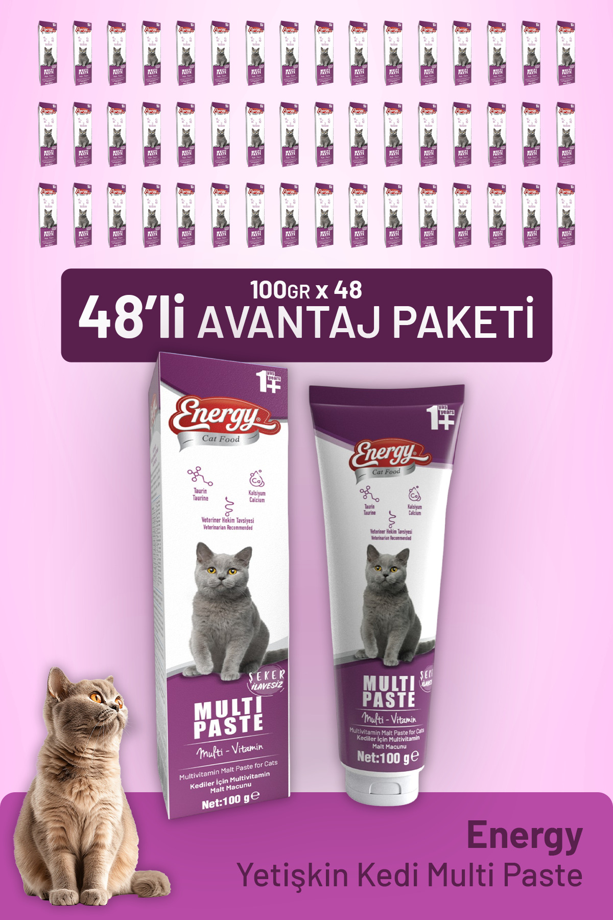 خمیر مولتی گربه بالغ کت‌فود انرژی Cat Food Energy، ۱۰۰ گرم، بسته ۴۸ عددی
