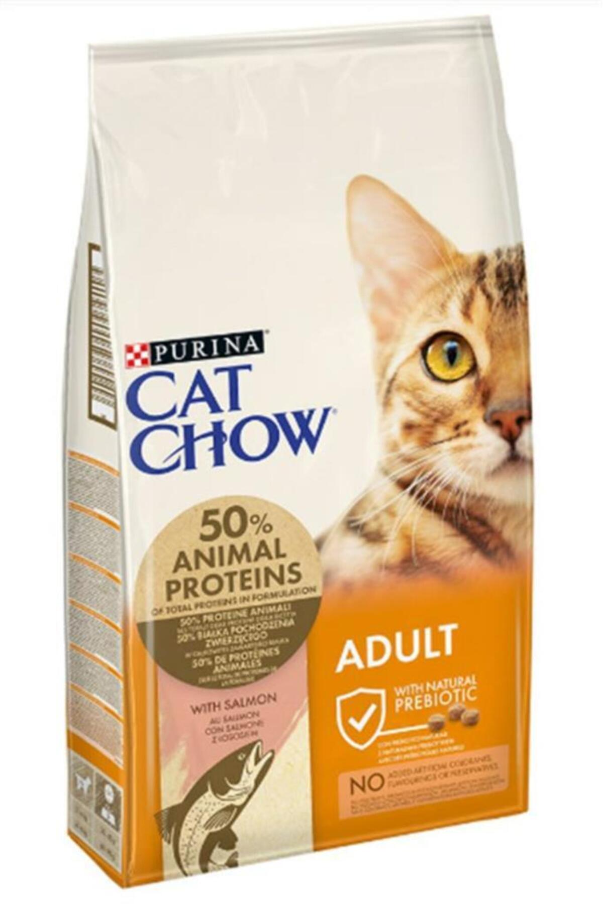 غذای خشک گربه بالغ با طعم سالمون ۱۵ کیلوگرمی کت چاو Cat Chow
