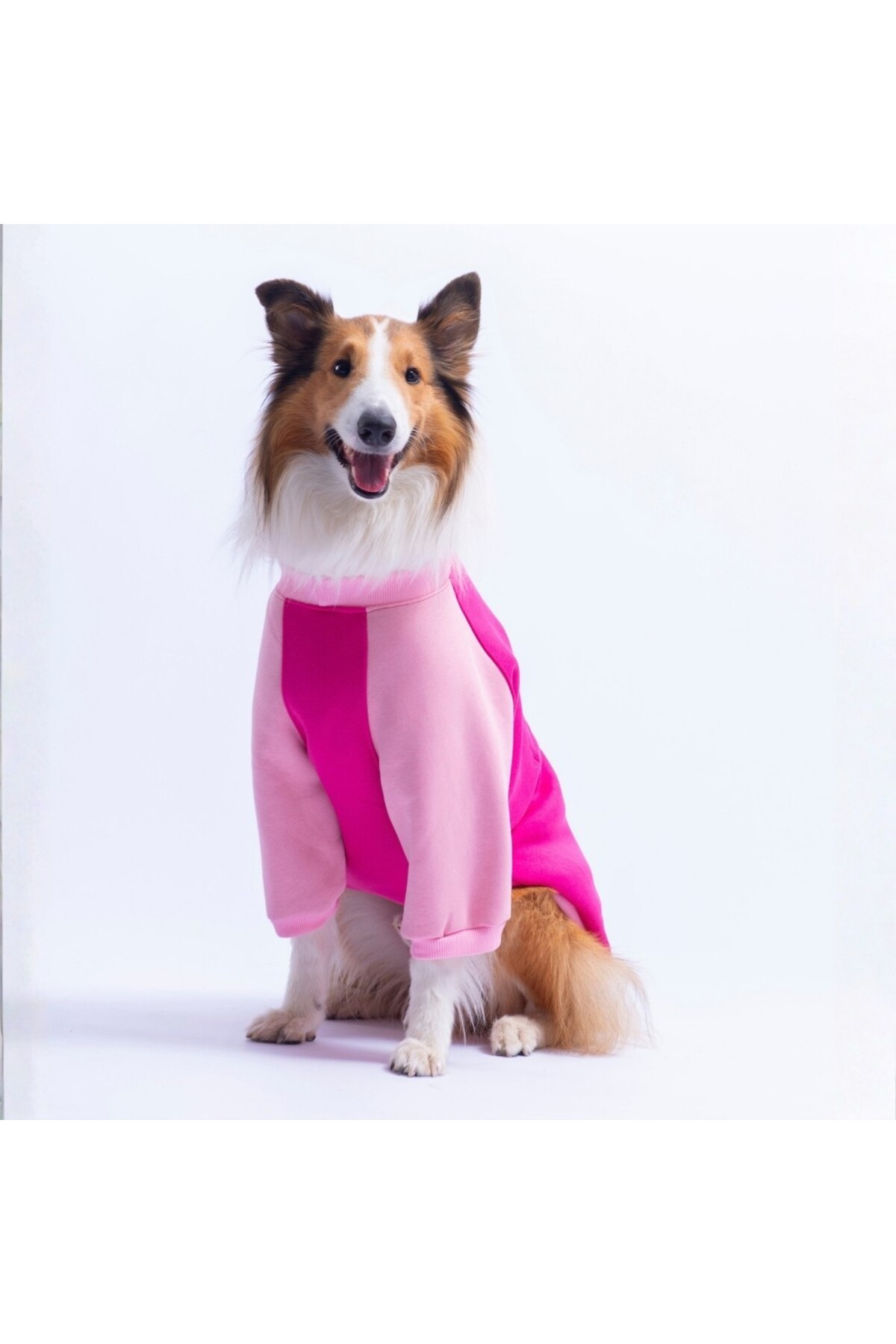 سویشرت سگ پاوستار Pawstar Boston صورتی برای نژادهای متوسط و بزرگ