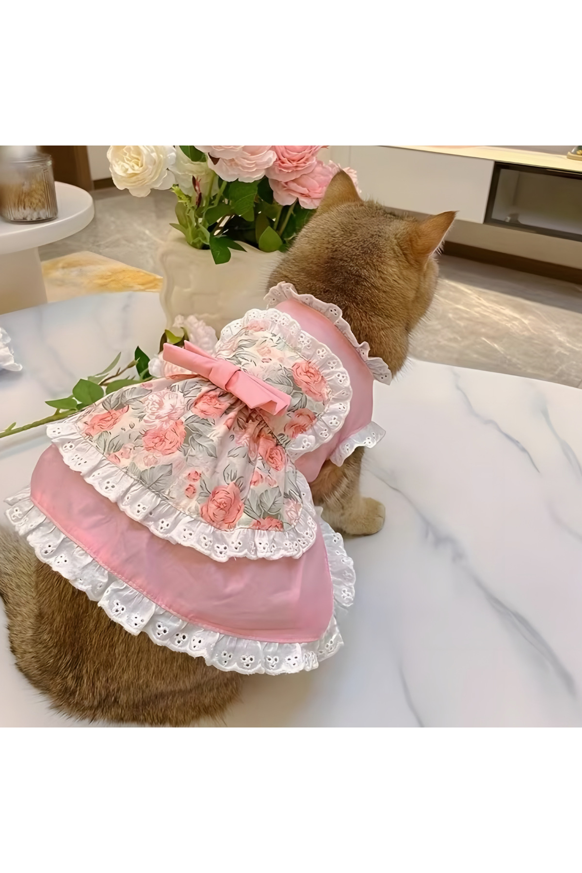 لباس سگ و گربه ماهلا MAHLA، مدل ponipum1، صورتی