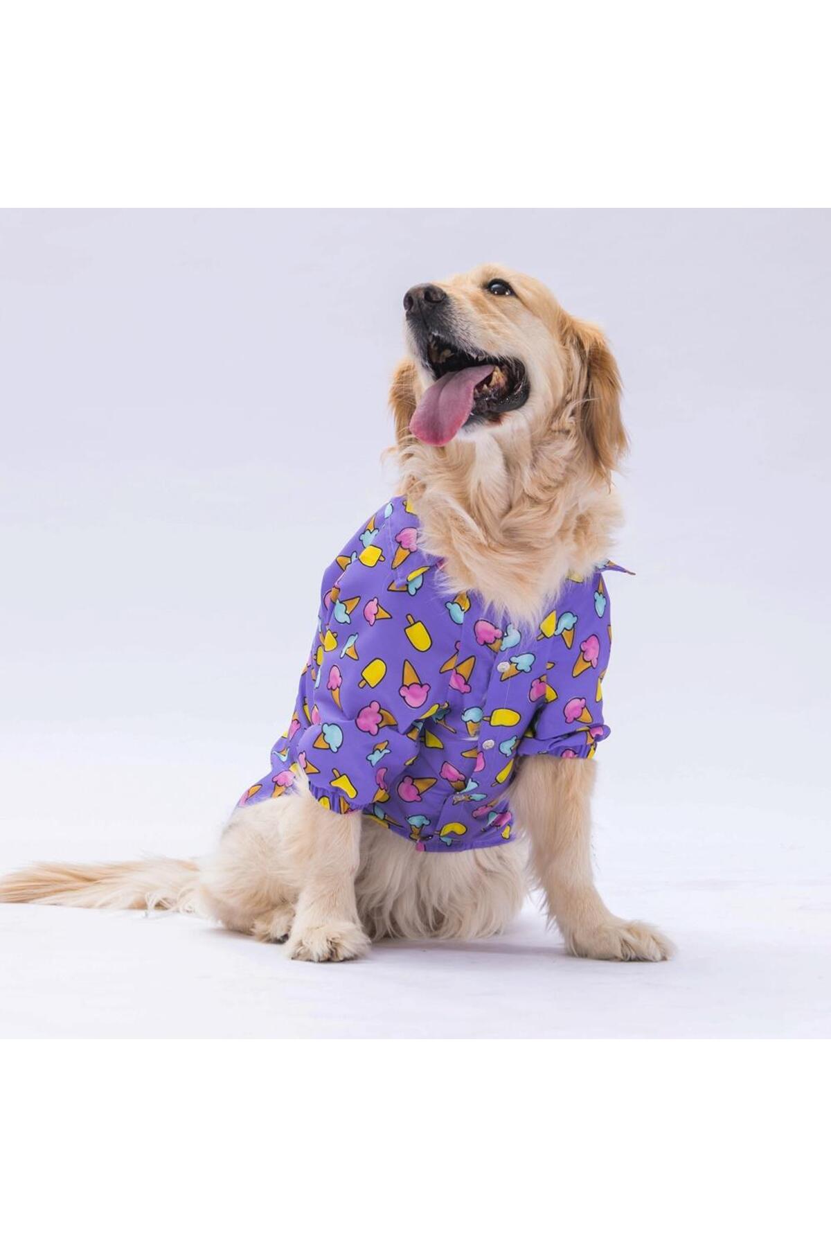 پیراهن سگ پاوستار Pawstar مدل Ice Cream، بنفش، مناسب سگ‌های ۱۵ تا ۴۵ کیلوگرمی