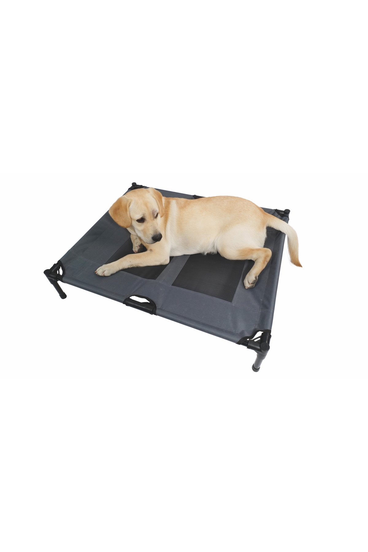 جای خواب مرتفع گربه و سگ ام‌پتس M-PETS، سایز M چندرنگ