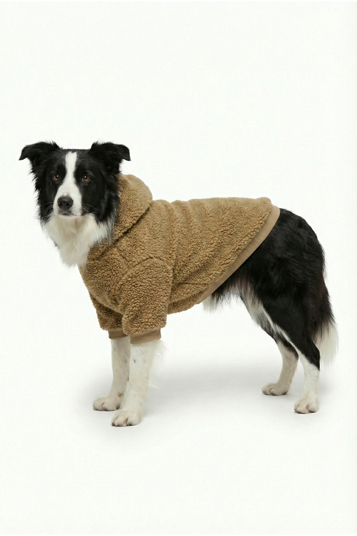 سویشرت سگ کلاه‌دار از پارچه تدی نرم، شتری/بژ، نوبل‌داگ NobleDog مدل karamelteddy