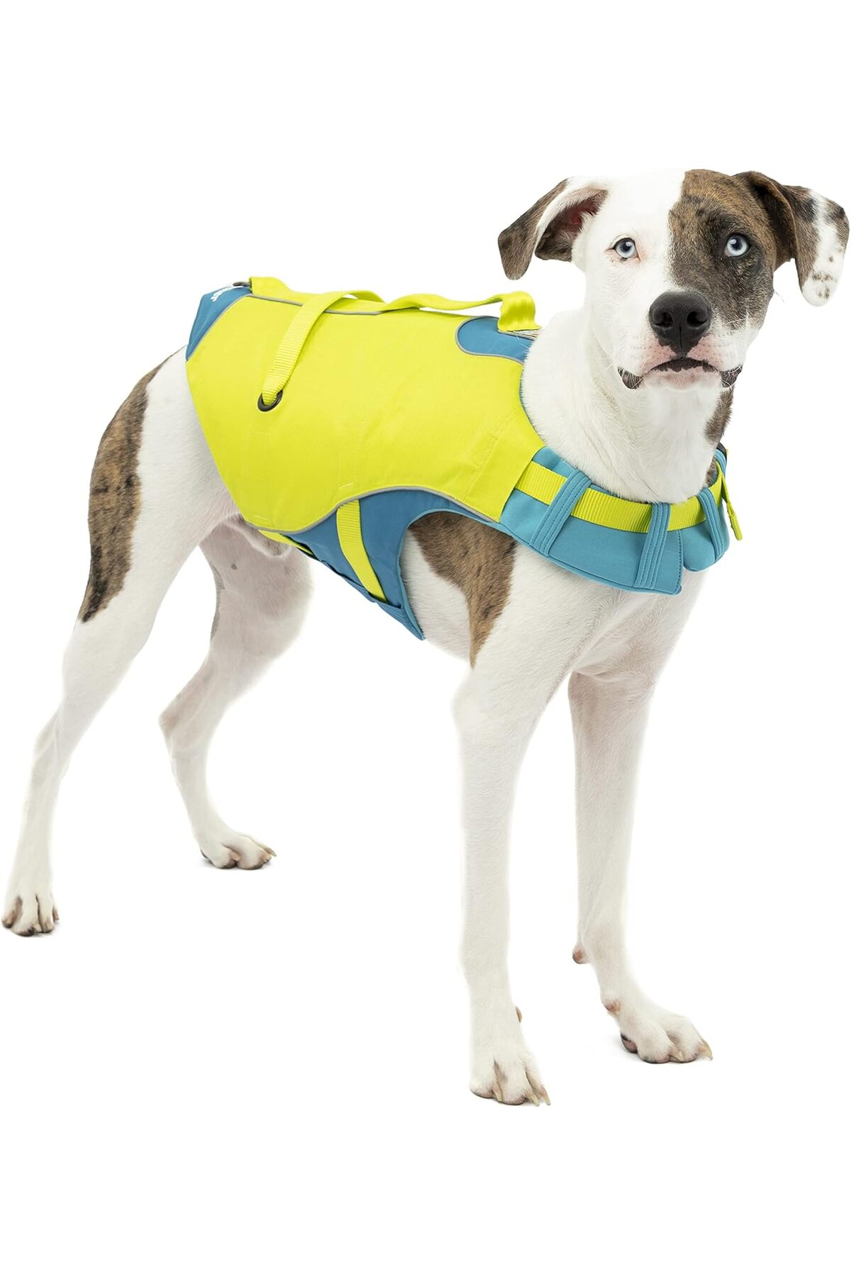 جلیقه نجات سگ کورگو KURGO Surf n' Turf مدل TRB09C1N3RMX