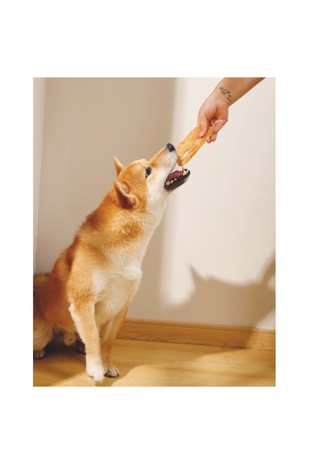 تشویقی سگ ام‌پتس M-PETS، Bite Delight Long Chicken، ۲ کیلوگرم