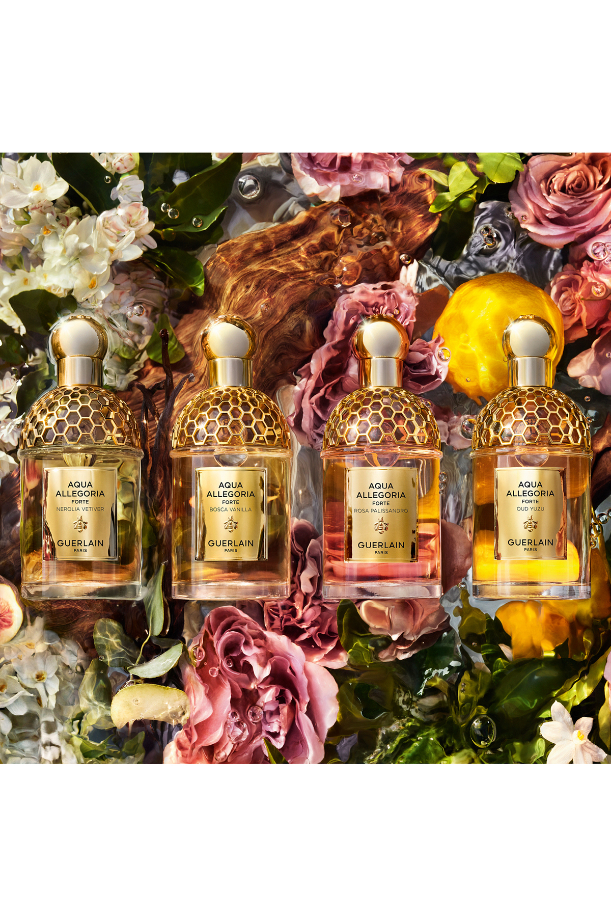 Guerlain - عطر Aqua Allegoria Woody Bosca Vanilla ادوپرفیوم