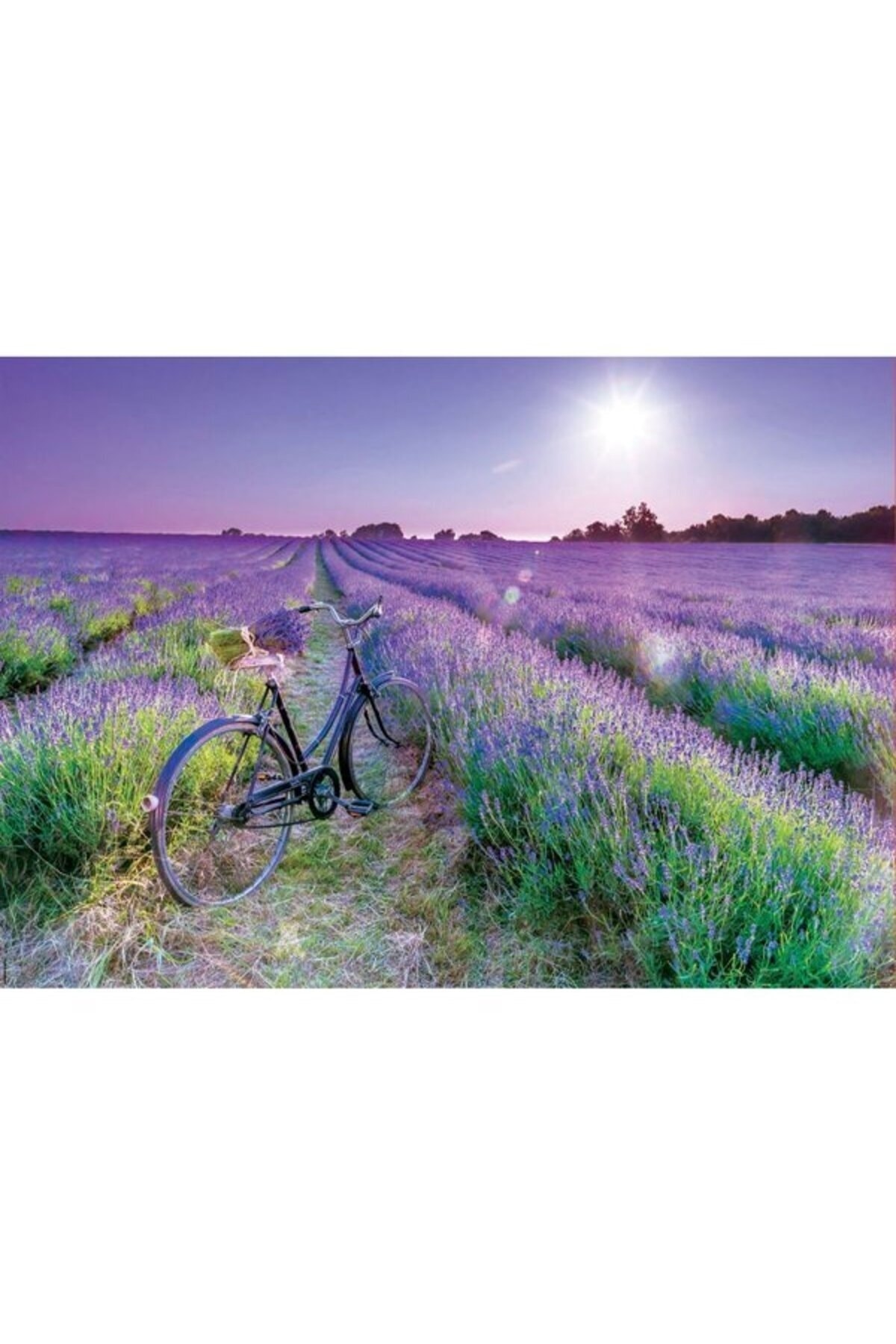 پازل 1000 BICICLETA CAMPO LAVAND ادوکا اورجینال EDUCA