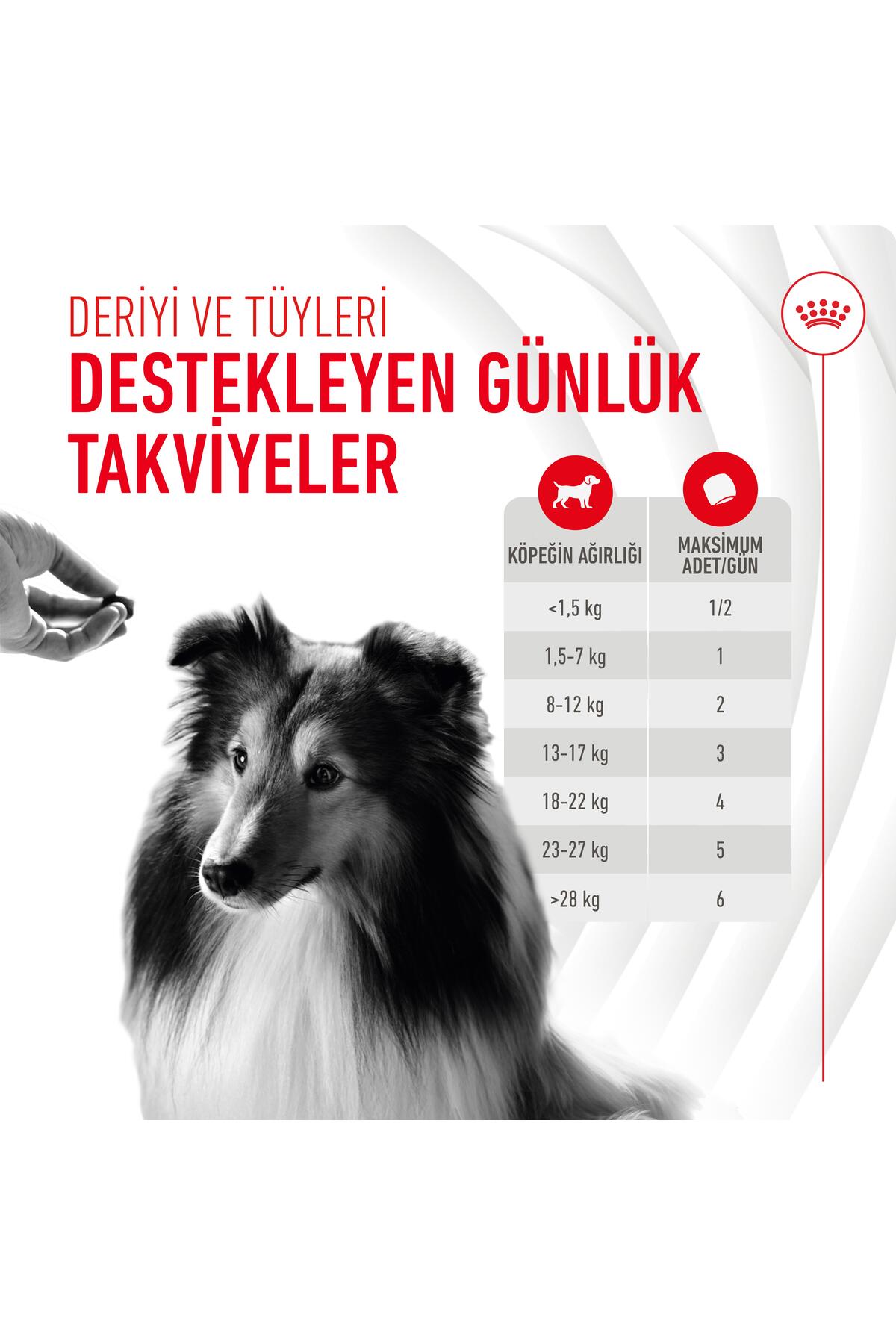 تشویقی مکمل سگ رویال کنین Royal Canin Skin&Coat، ۲۴۰ گرم