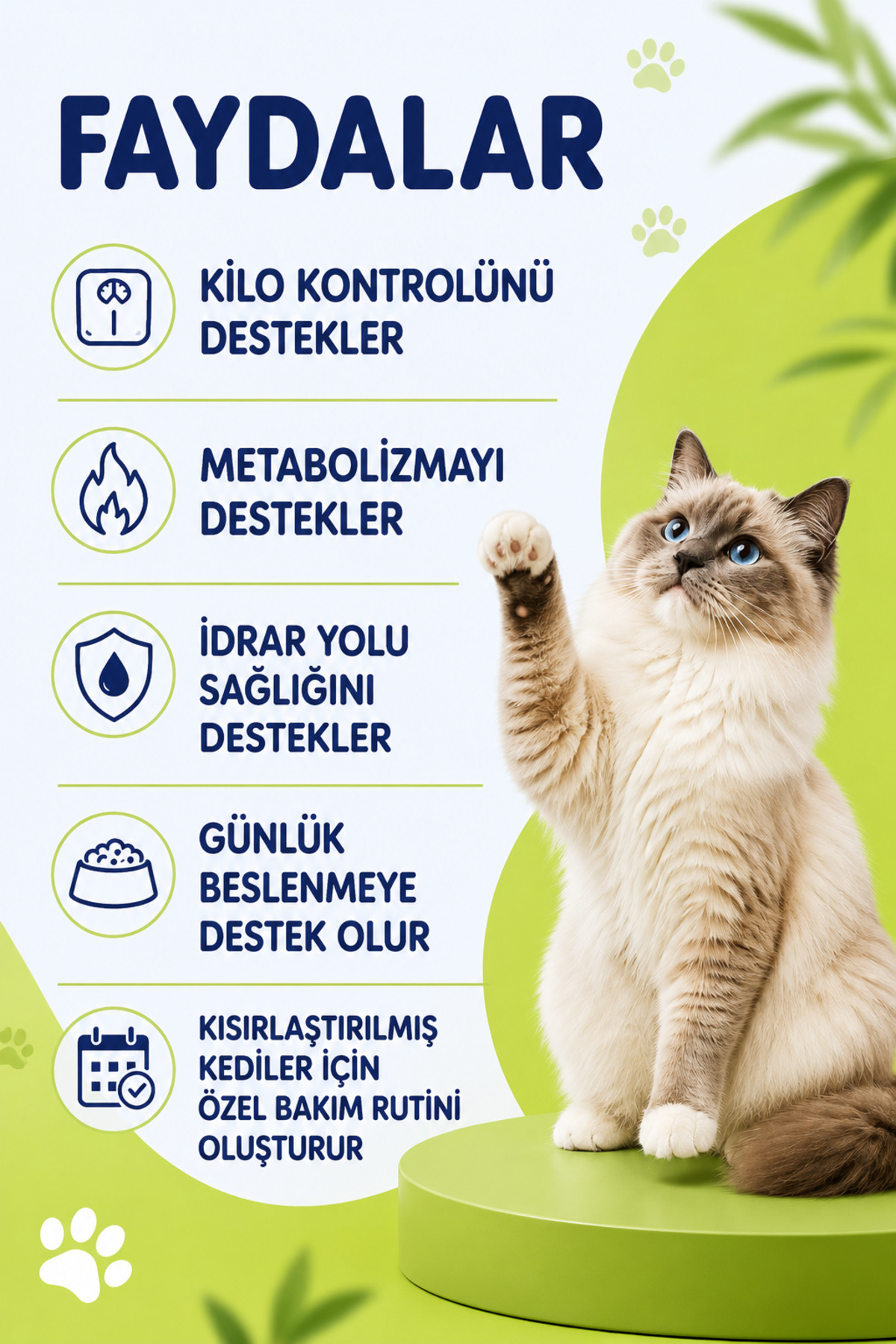 بسته سلامت گربه پابی پت کلاب Poby Pet Club، روغن ماهی، PlusB، قرص و خمیر، مدل SaglikPaketi-kediler