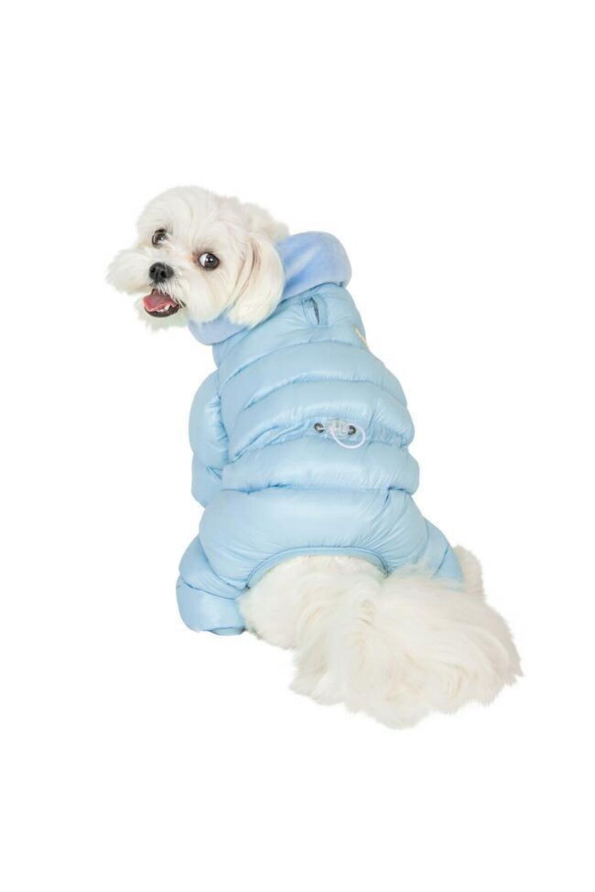 سرهمی سگ پوپیا Puppia Velour Soft آبی آسمانی