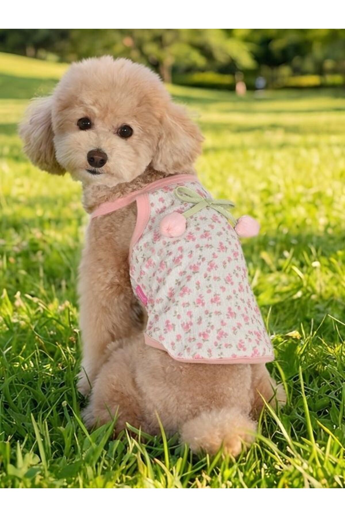 لباس سگ پینکاهولیک Pinkaholic Cherish مدل NBAB-TT7912، صورتی