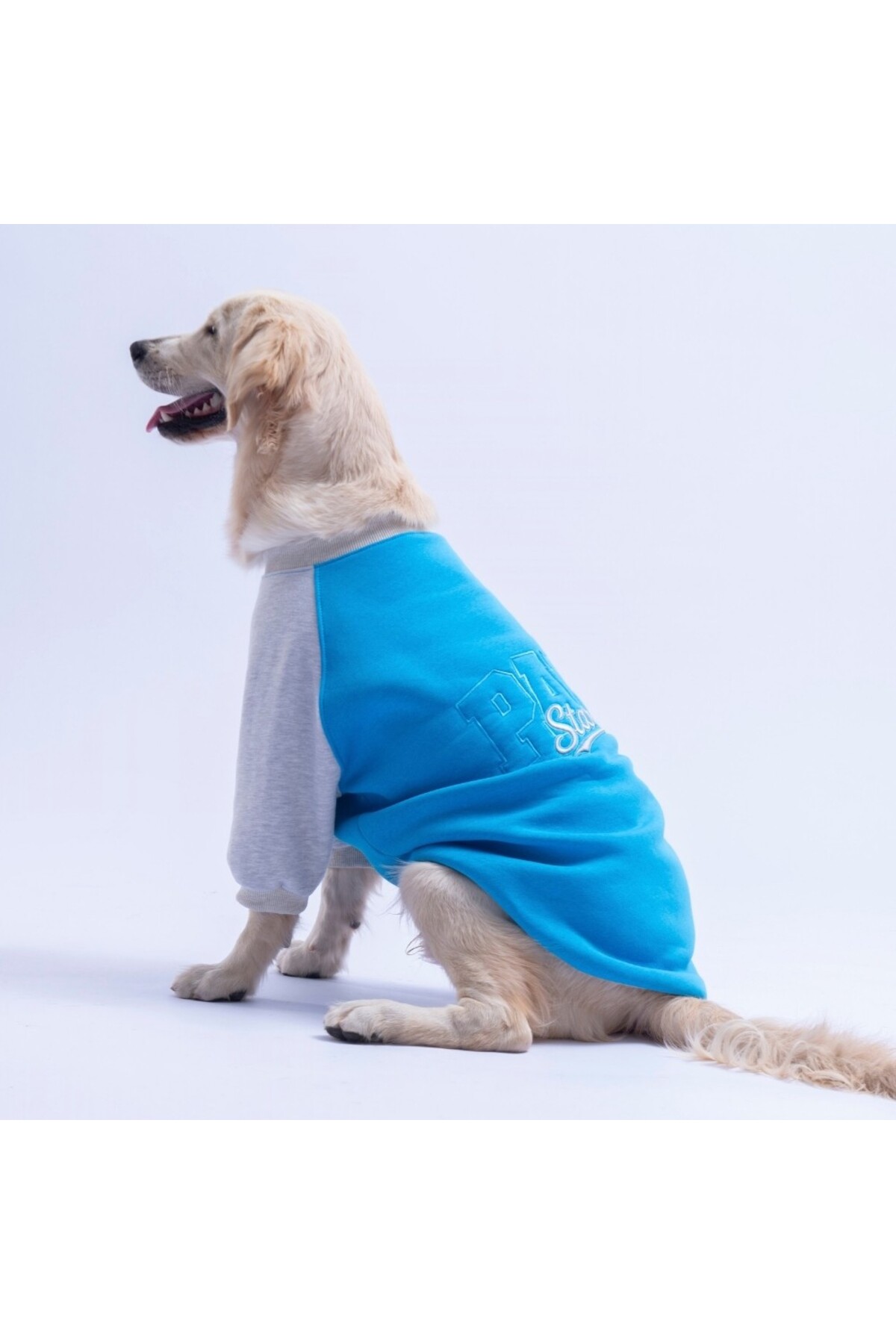 سویشرت سگ پاوستار Pawstar مدل Boston، آبی، مناسب نژادهای متوسط تا بزرگ