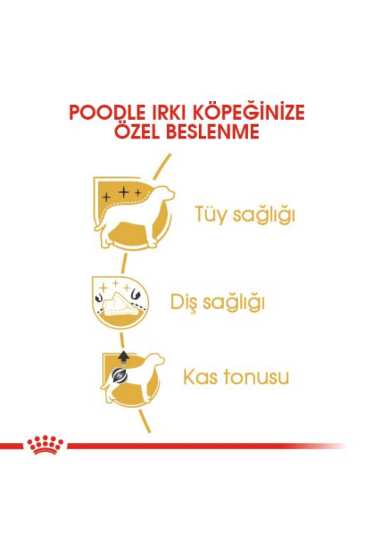 غذای خشک سگ پودل بالغ رویال کنین Royal Canin، ۳ کیلوگرم