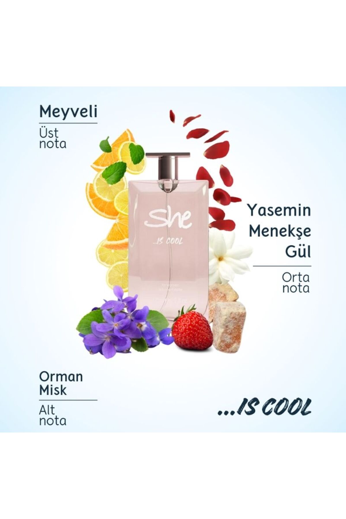 عطر زنانه Cool با حجم 50 میلی لیتر و رنگ متالیک She