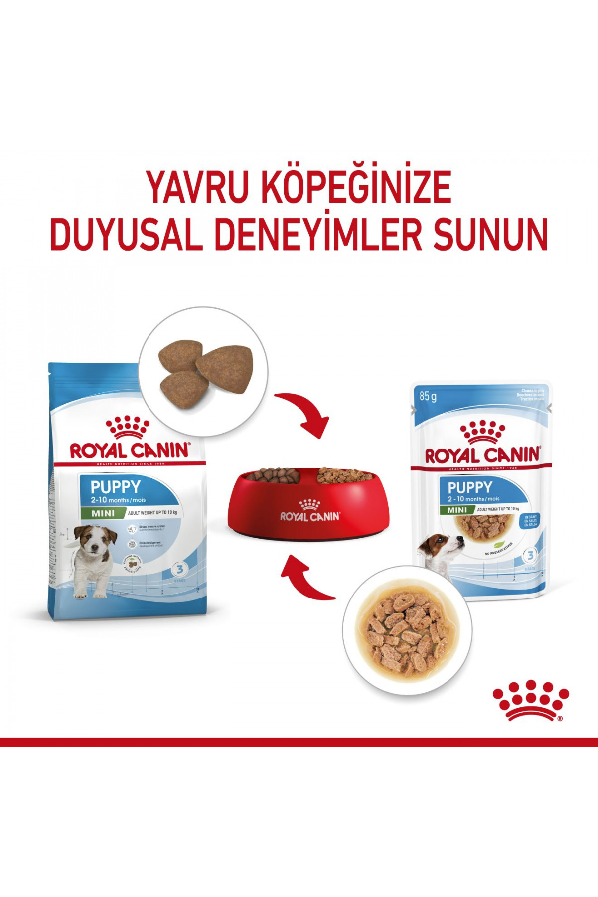 غذای مرطوب توله‌سگ نژاد کوچک رویال کنین Royal Canin، مرغ، ۱۲ × ۸۵ گرم