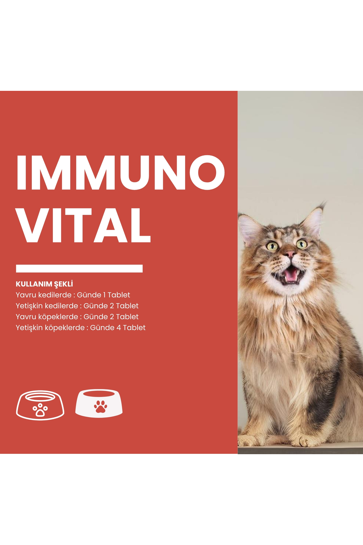 قرص خوش‌طعم گربه زوویتال Zoovital Immunovital، ۶۰ عددی