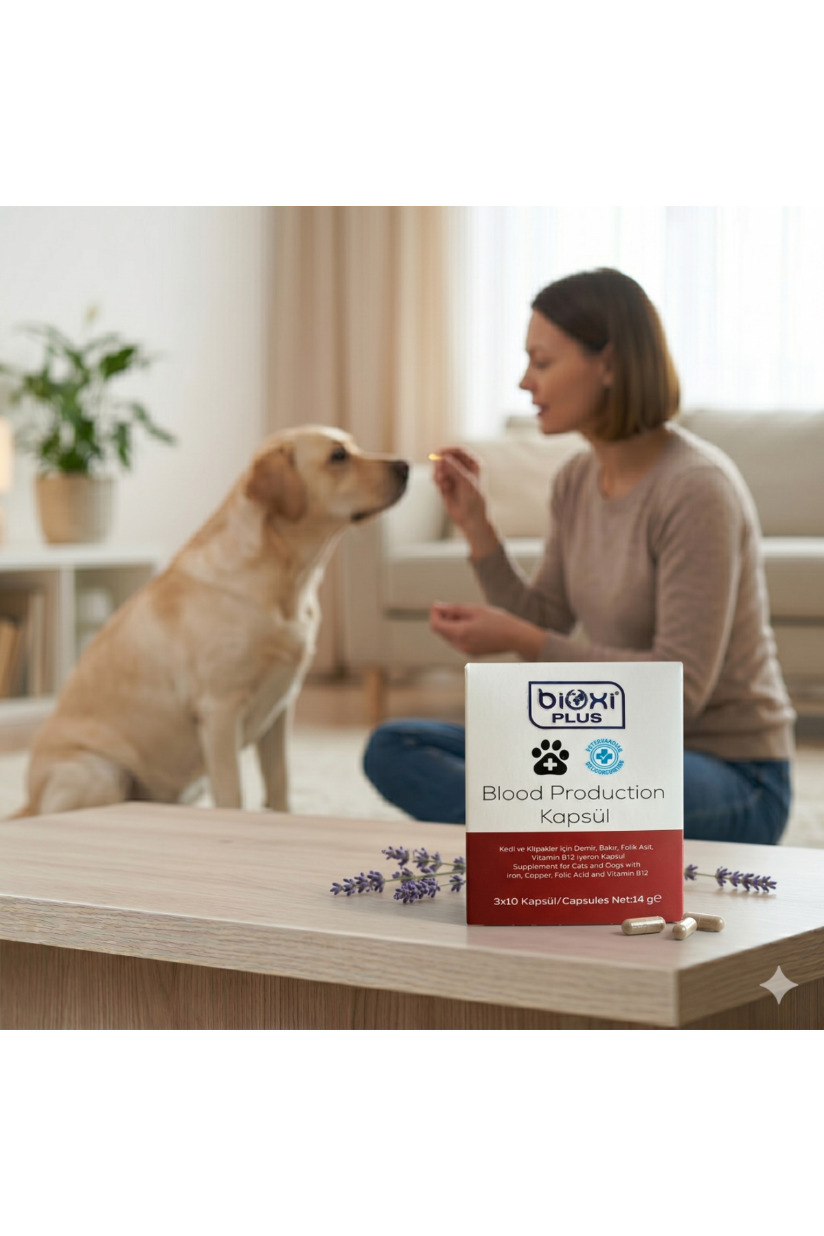 کپسول مکمل گربه و سگ بیوکسی Bioxi حاوی آهن، ویتامین B12 و اسید فولیک