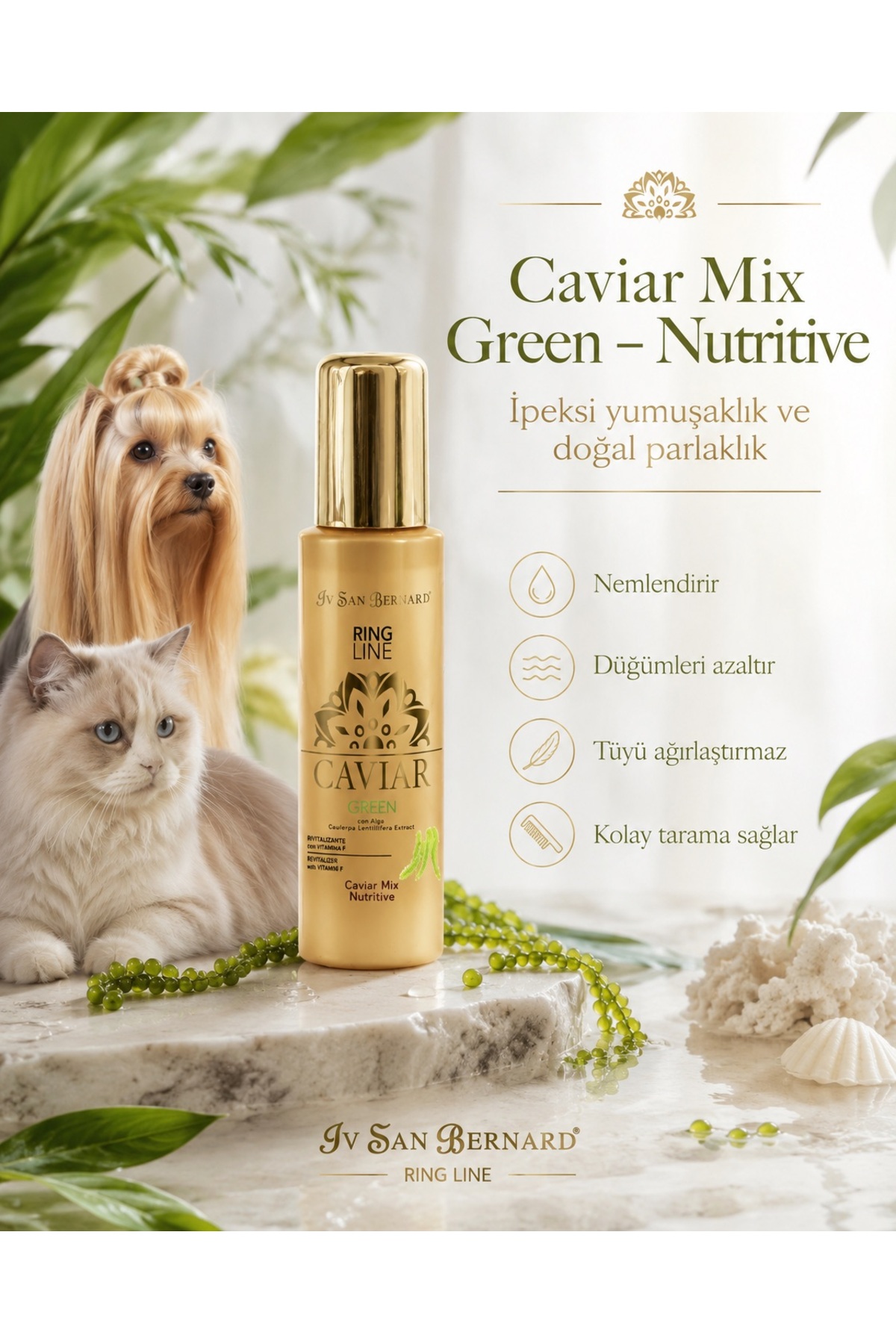 سرم تغذیه‌کننده پوشش حیوانات Green Caviar Mix-Nutritive، ۱۰۰ میلی‌لیتر، آی‌وی سن برنارد IV San Bernard