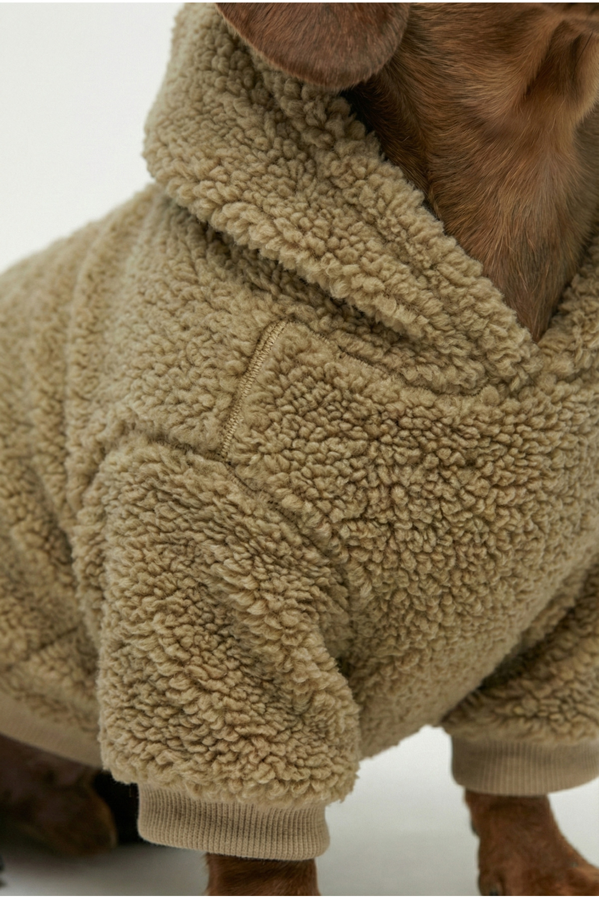 سویشرت سگ کلاه‌دار از پارچه تدی نرم، شتری/بژ، نوبل‌داگ NobleDog مدل karamelteddy