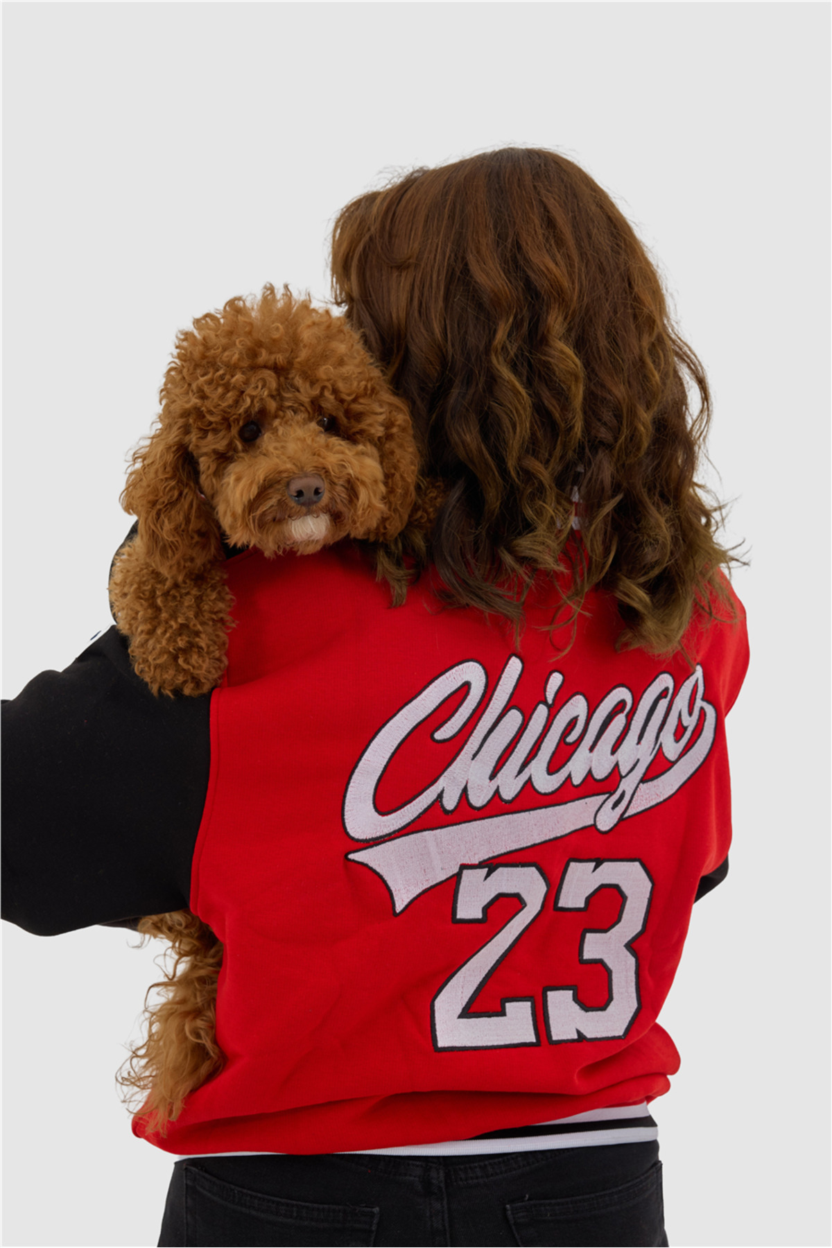 کت کالجی سگ بزرگسال قرمز Chicago تارپاوز TARPAWS