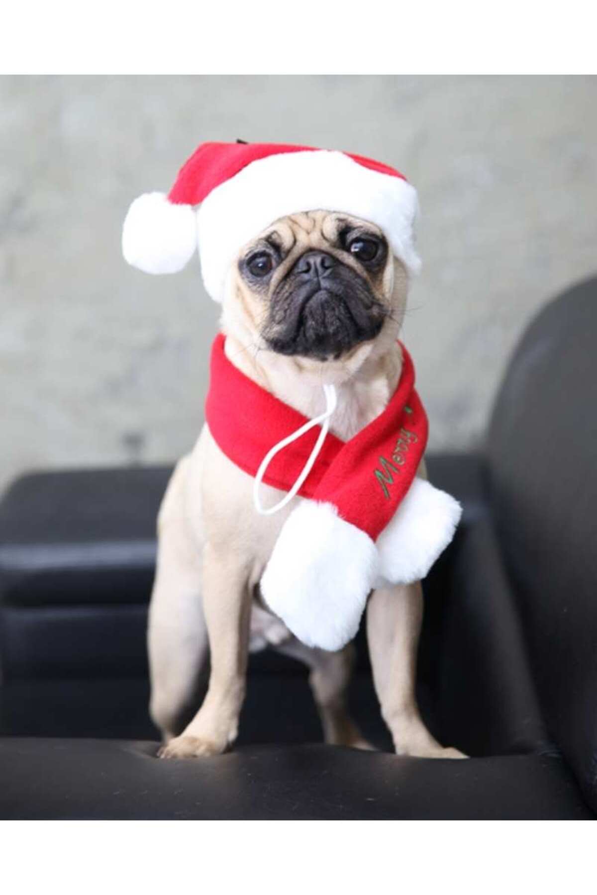 لباس سگ پلار قرمز پوپیا Puppia Santa's Hat مدل PDDF-SH23