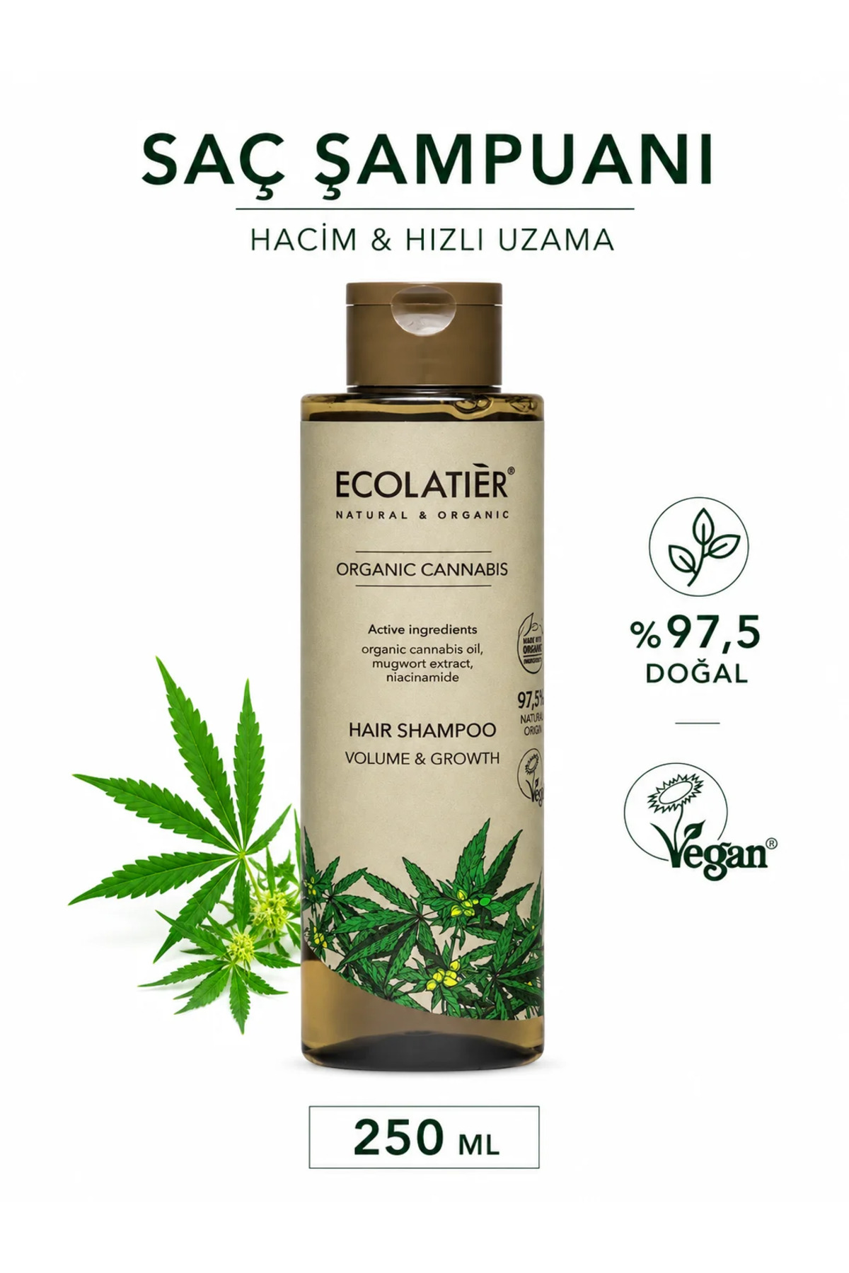 شامپو حجم دهنده مو با رشد سریع کنف ارگانیک 250 میل ECOLATIER