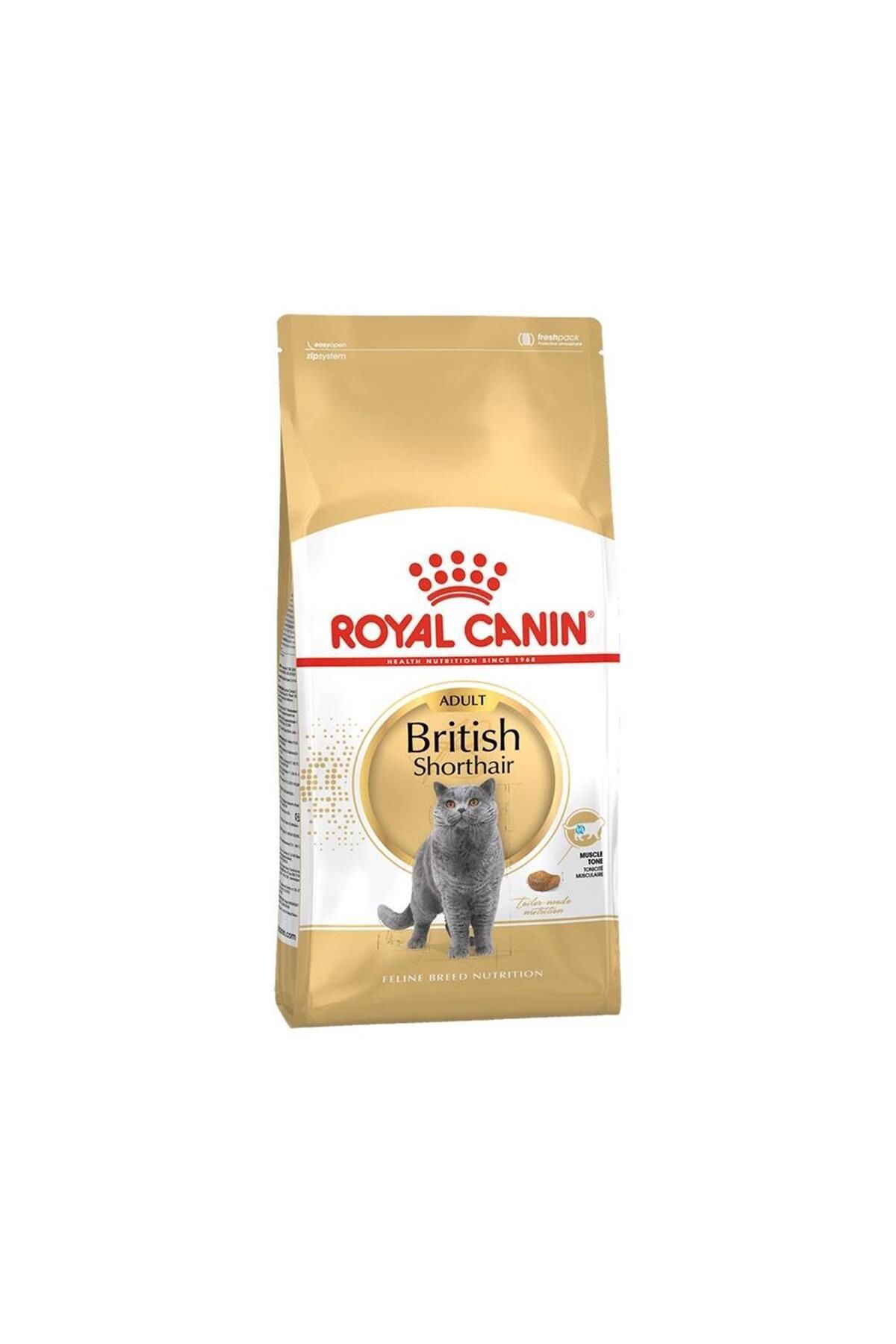 غذای خشک گربه بالغ بریتیش شورت‌هیر ۴ کیلوگرمی رویال کنین Royal Canin