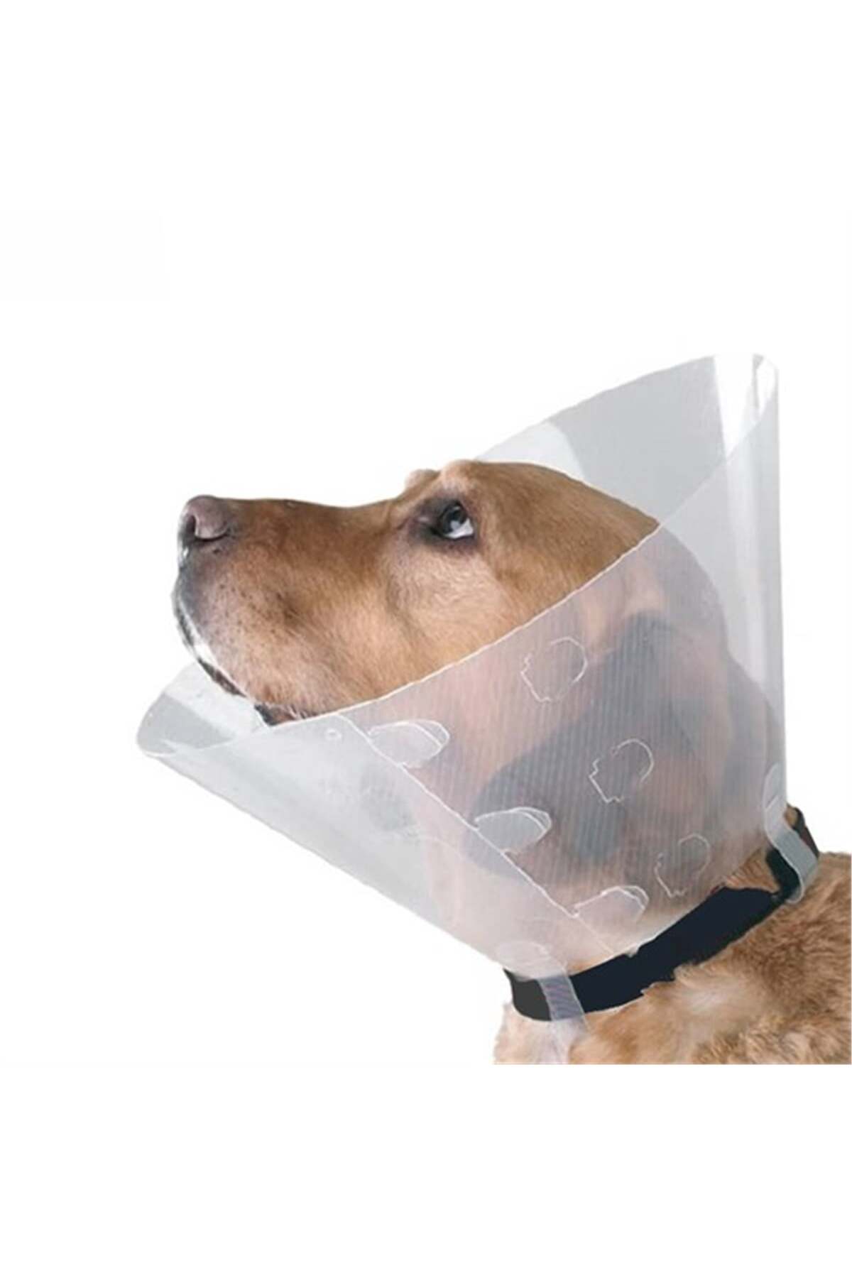یقه شفاف سگ ۳۰ سانتی‌متری وی‌ای‌تی VET