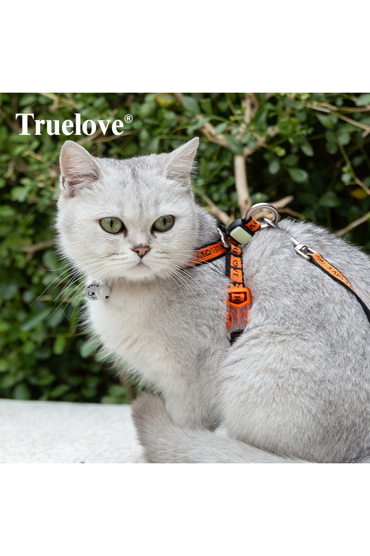 قلاده سینه‌ای و بند نارنجی گربه ترو لاو True Love مدل TKEGT-002