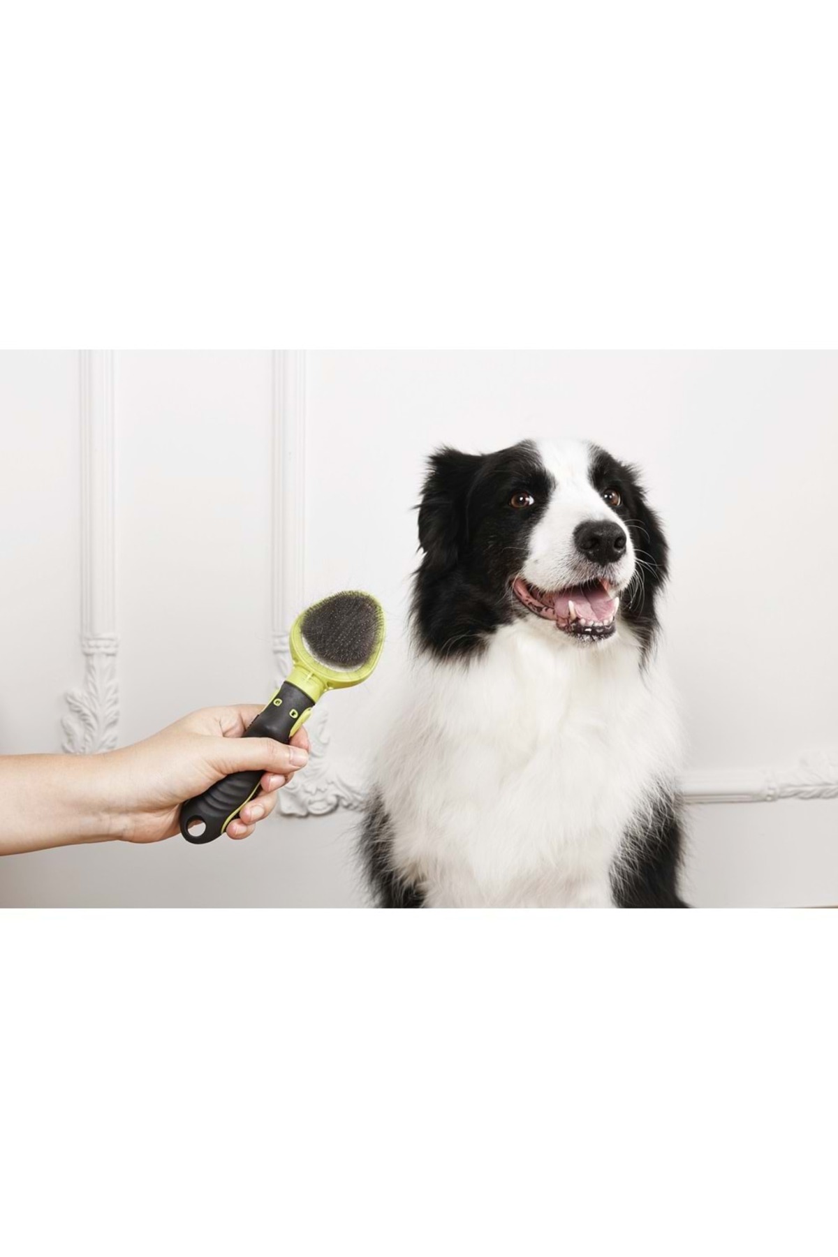 برس سیمی ظریف گربه و سگ ام‌پتس M-PETS Click and Groom