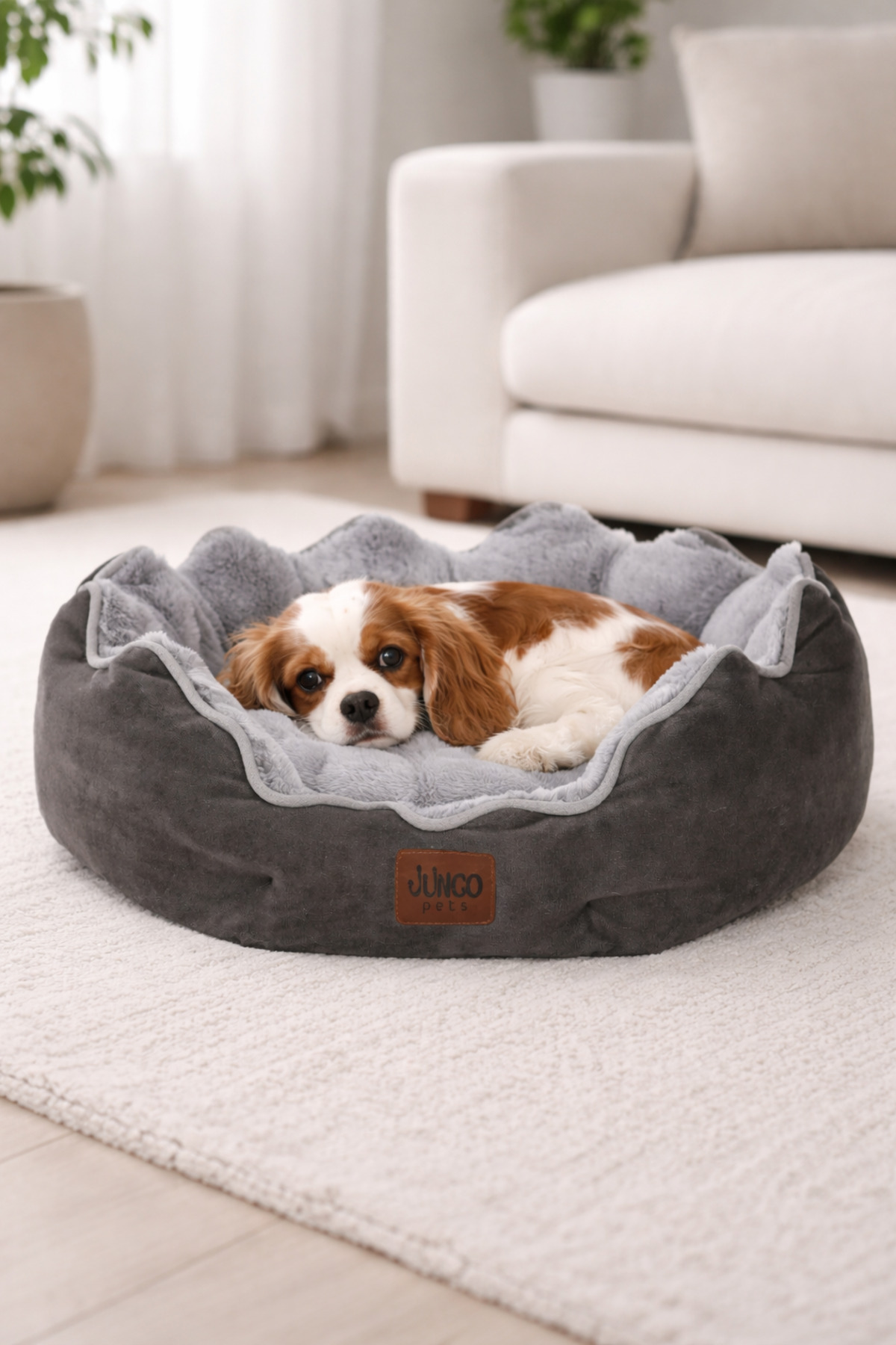 جای خواب گربه و سگ جونگولیکا پت پروداکتس Jungolica Pet Products، مدل Elsa، خاکستری زغالی و خاکستری روشن