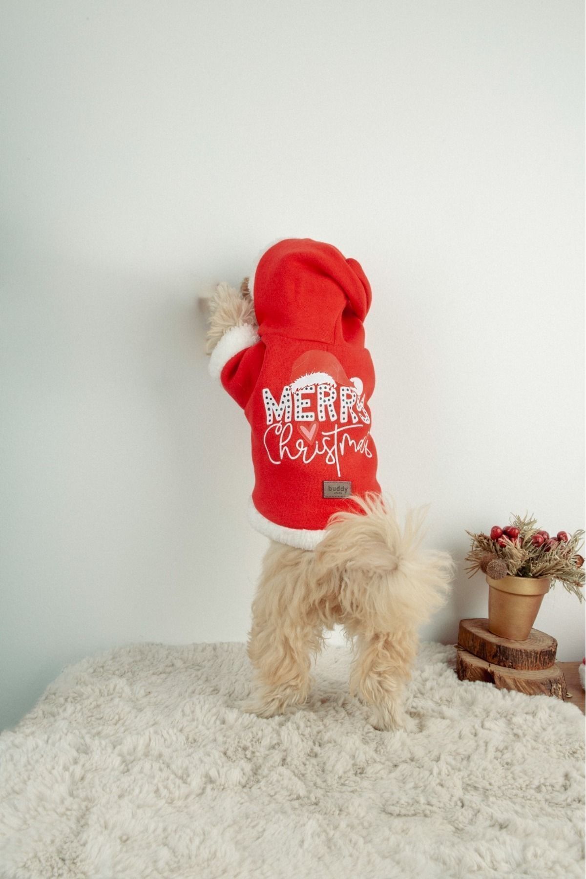 لباس کریسمس سگ و گربه بادی استور Buddy Store مدل bsMerryChristmas، چندرنگ