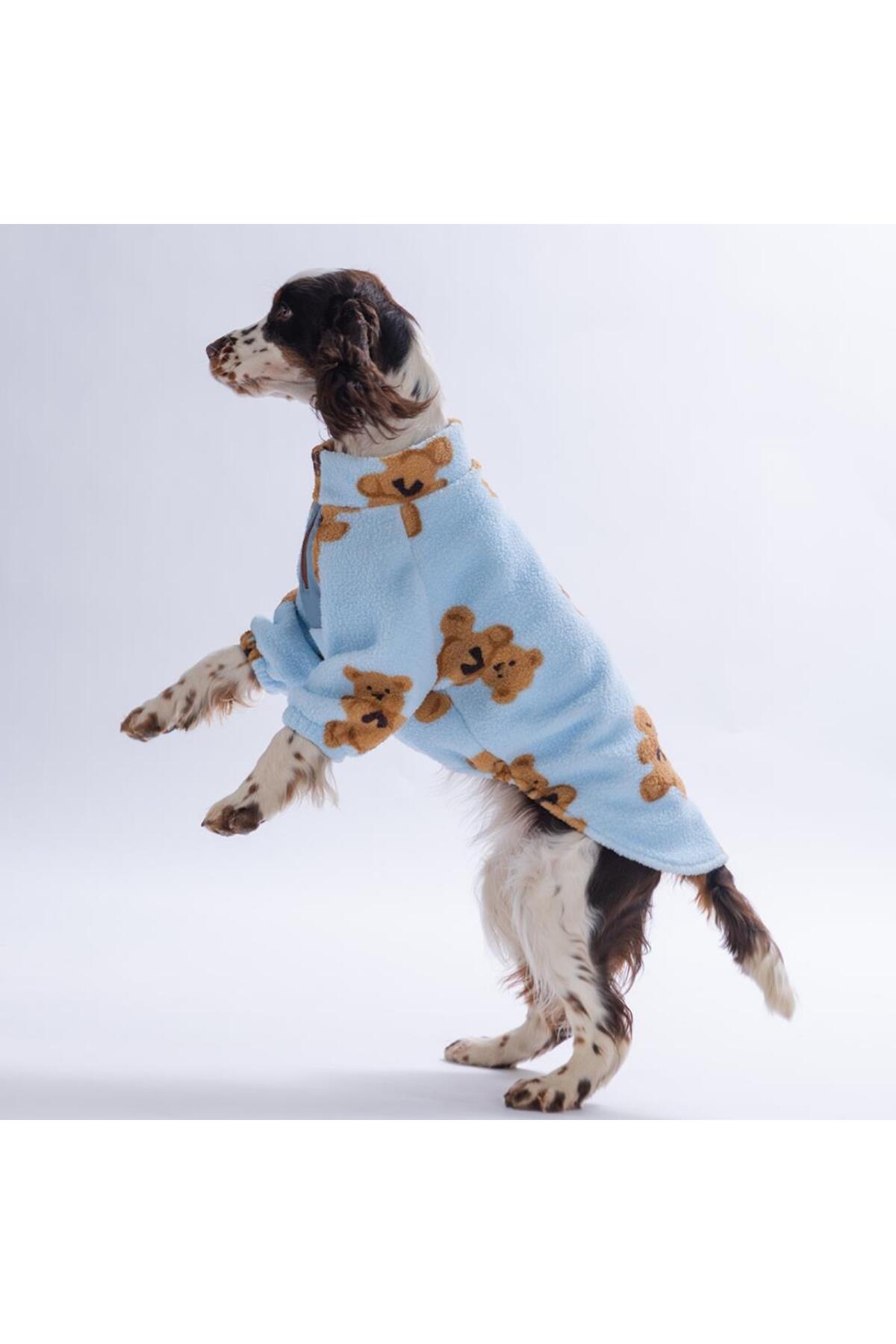 سویشرت سگ پاواستار Pawstar مدل 26756، سری Gentle Bruno Big Sweat