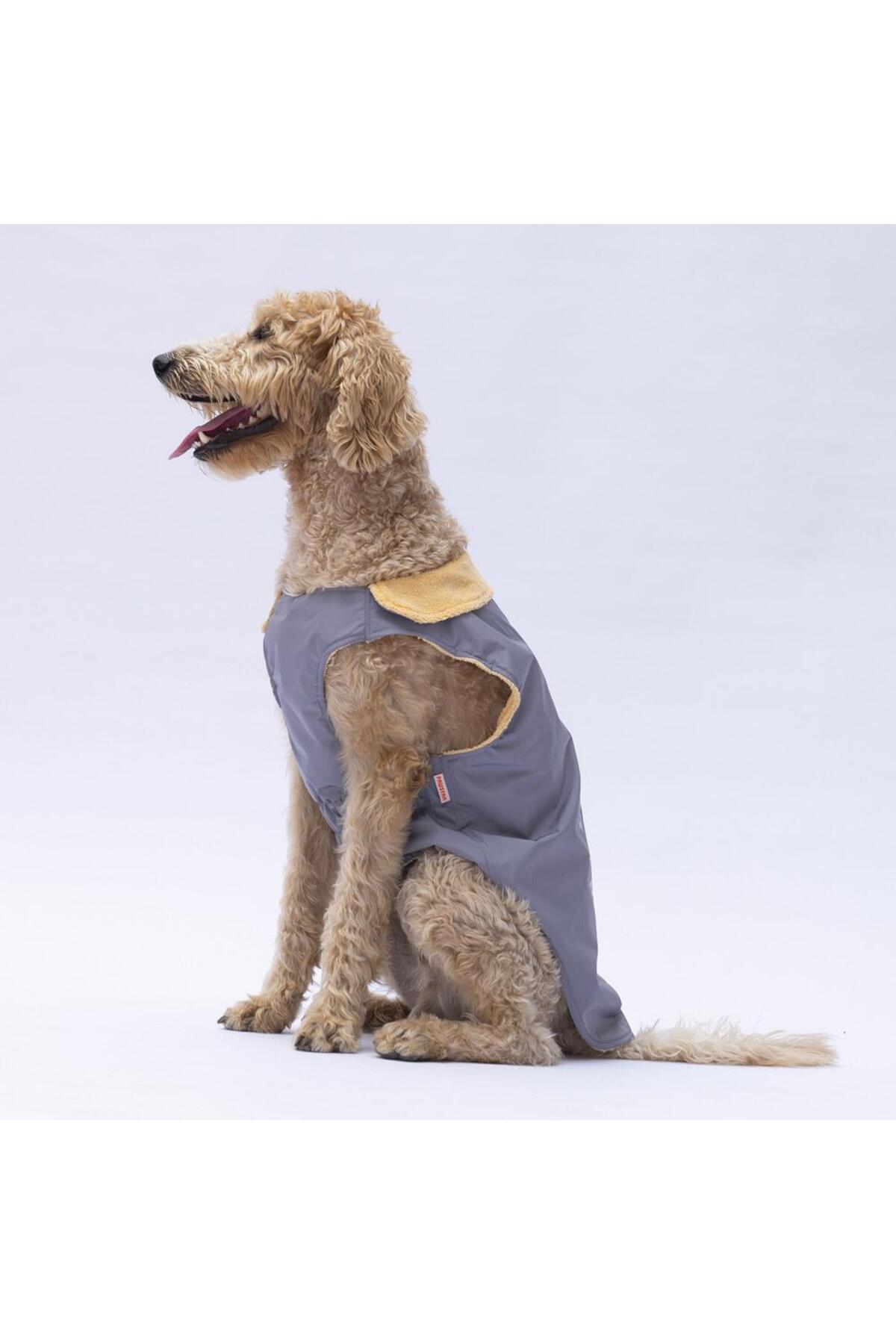 جلیقه بارانی سگ نژاد بزرگ پاوستار Pawstar Yukon مدل BPS24-1037، خاکستری