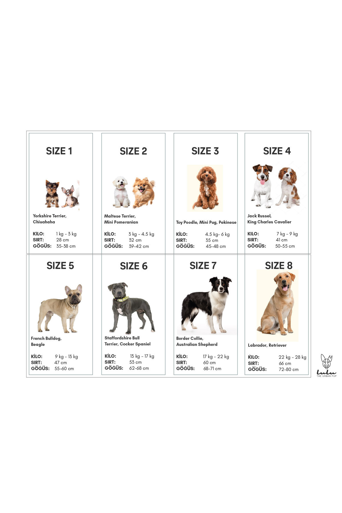 کاپشن پشمالوی قرمز سگ لولو د اربن پاپ Lulu The Urban Pup