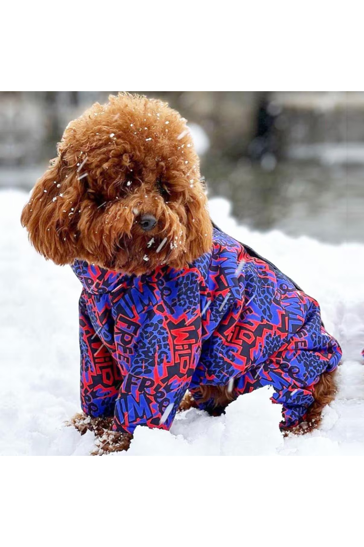 لباس بارانی سگ آلفادگ دیزاین Alphadog Design Wild، مدل LY235-000، چندرنگ