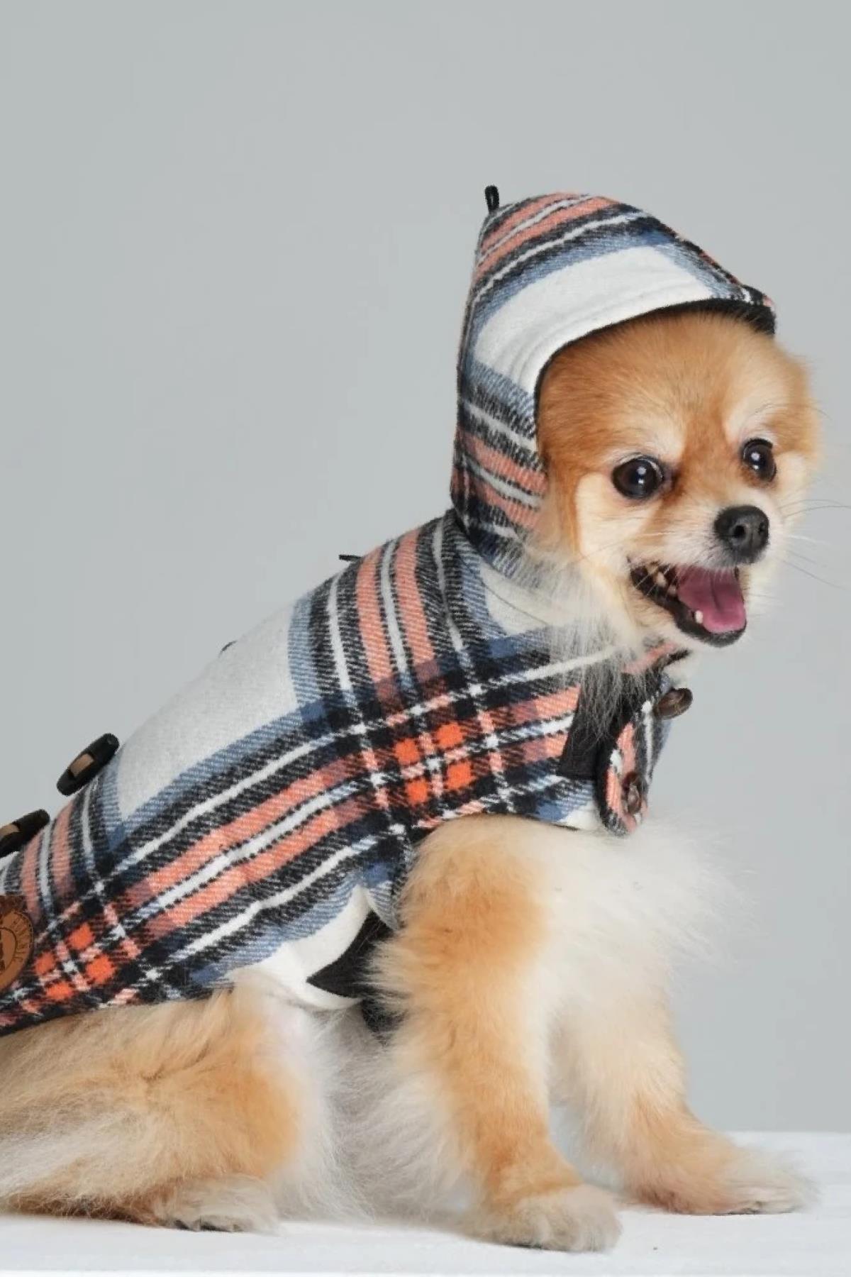 کاپشن سگ کلاه‌دار Duffle Coat بون‌شیک‌بون‌کوکو BONCHICBONCOCO