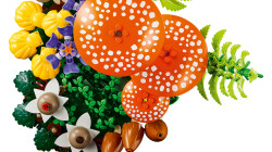 مجموعه ساختنی تزئینی قارچ‌های جنگلی لگو LEGO Botanicals مدل 11505، ۸۰۶ قطعه، حداقل سن ۱۸ سال