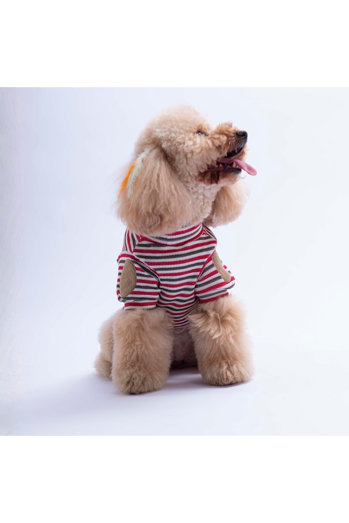 سویشرت سگ و گربه پاواستار Pawstar Marseille Softline قرمز راه‌راه، مدل PS26-1157