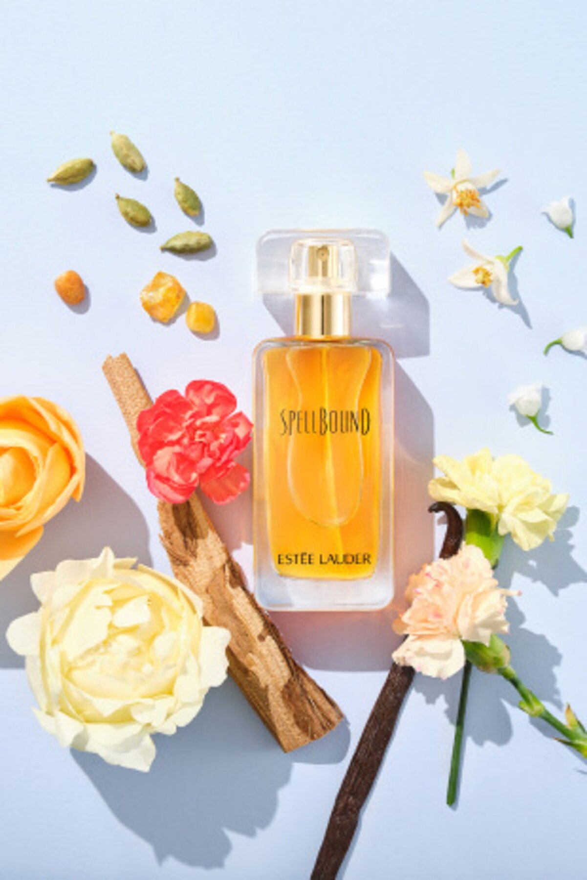 عطر زنانه Spellbound حجم 50 میلی لیتر استی لادر Estee Lauder